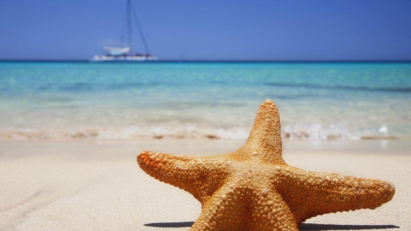 Beach: Barmuda Abstract Sand Grass Beach Ocean Bermuda 5k Wallpaper