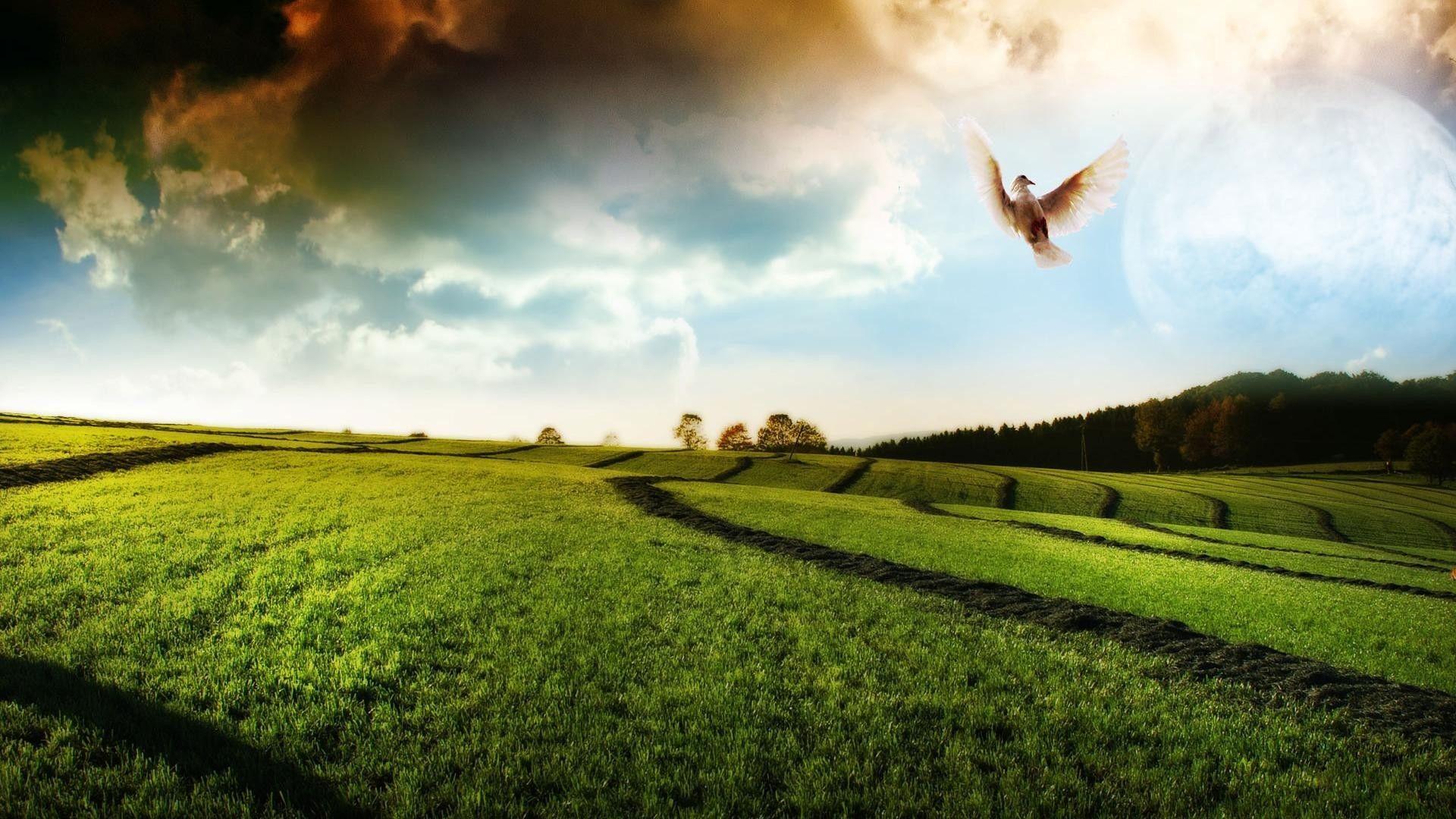 HD Wallpaper 1280x800