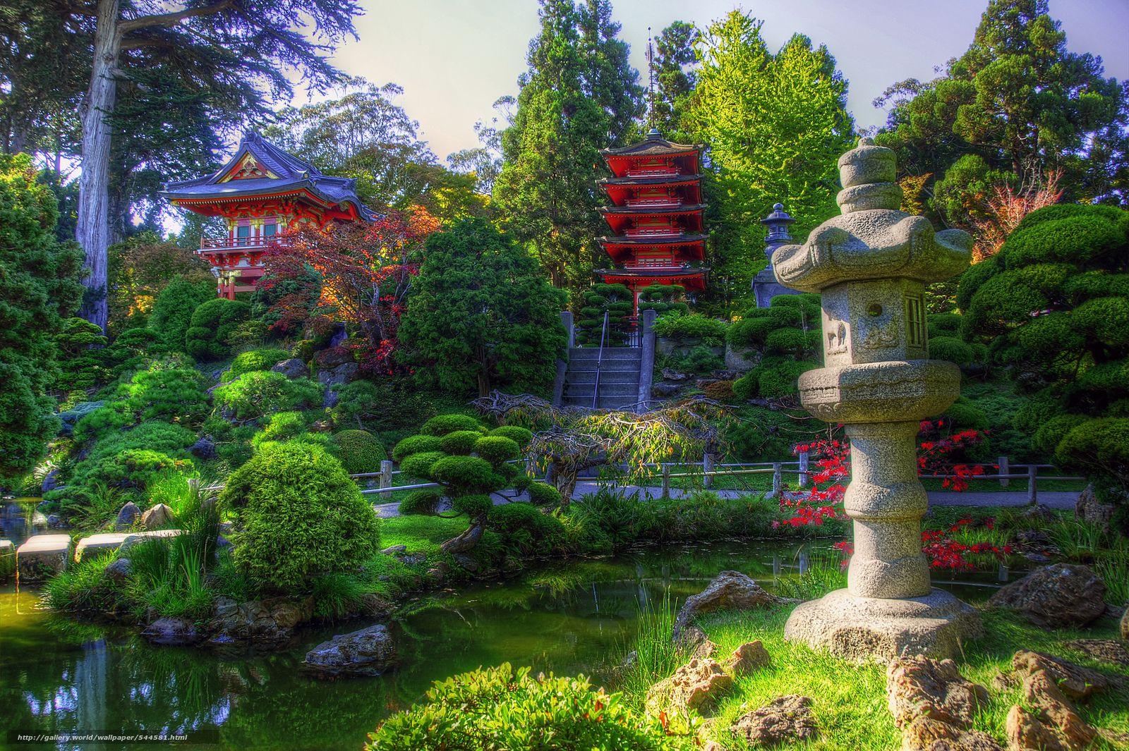 Japanese Tea Garden Background. Beautiful