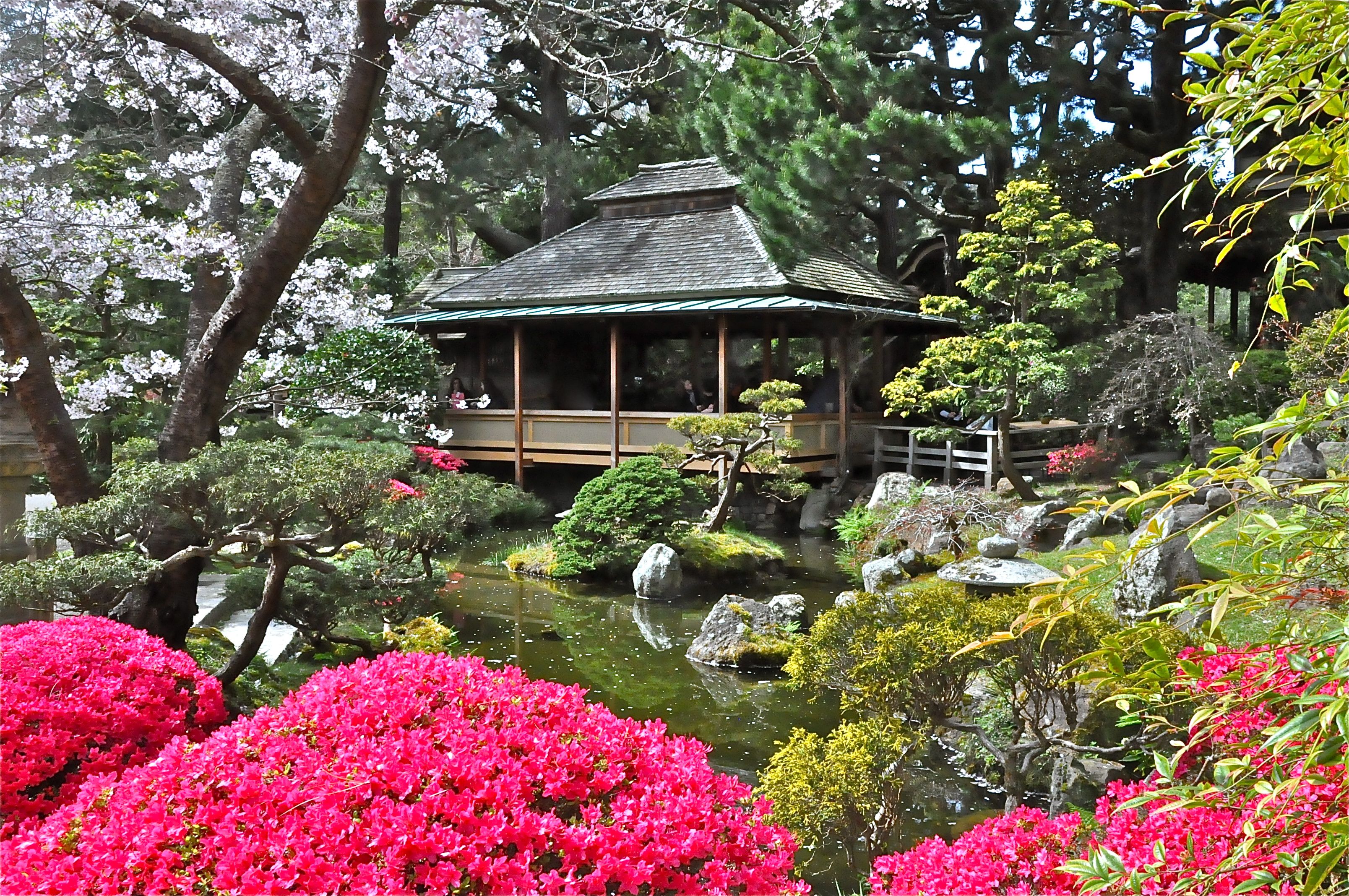 3216x2136px Japanese Tea Garden (4806.92 KB).02.2015