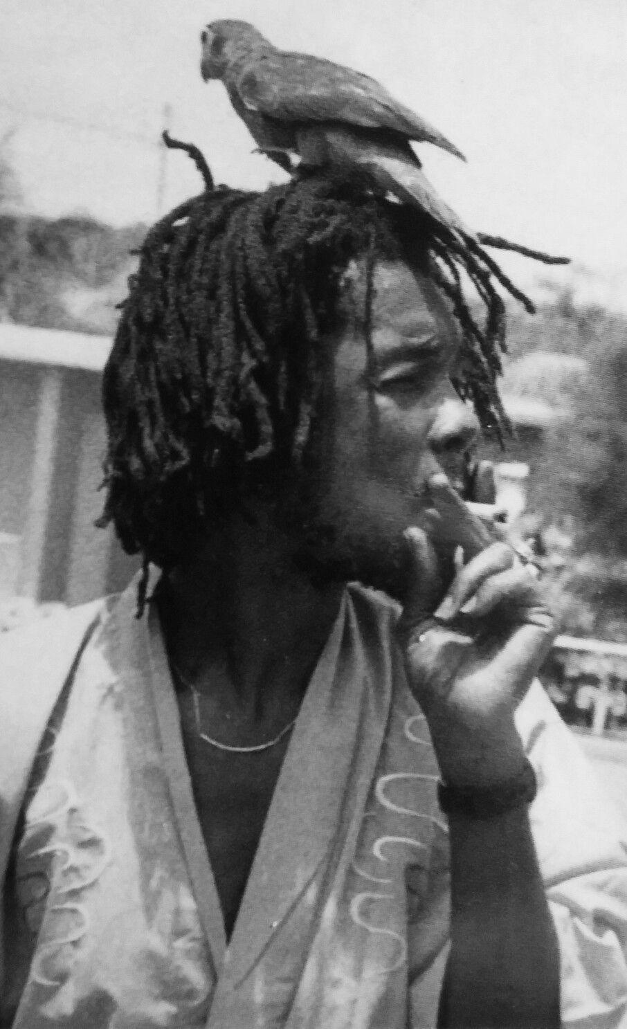 Peter Tosh Wallpapers - Wallpaper Cave