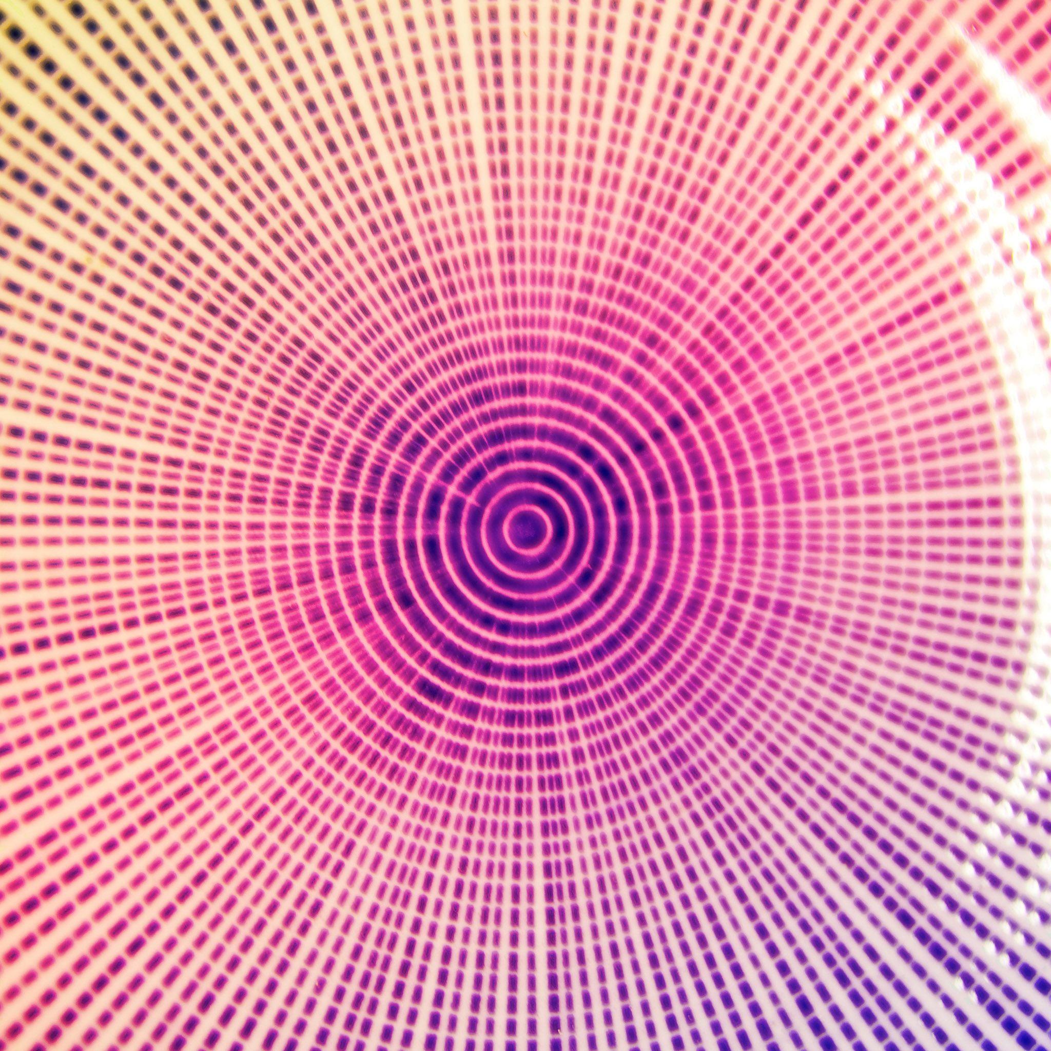 Abstract colorful circles iPad Wallpaper