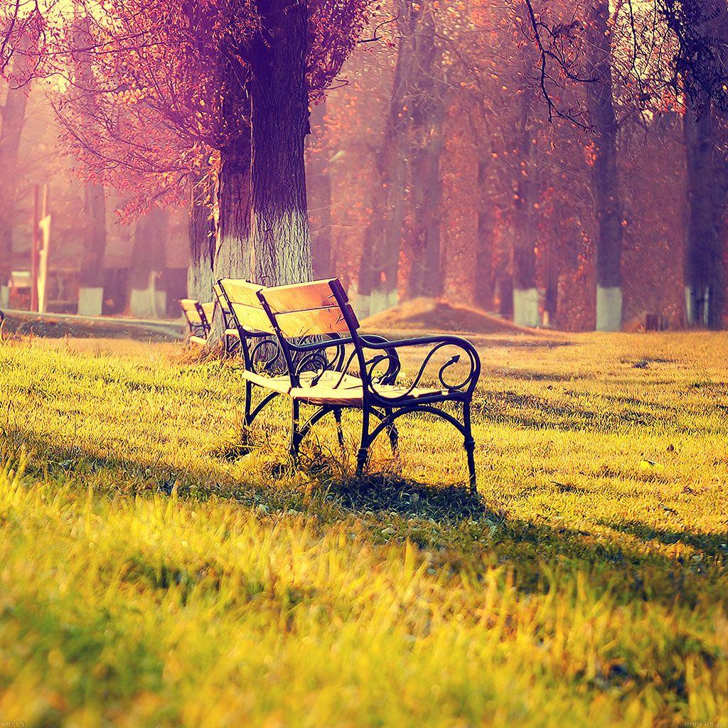 Android wallpaper. wallpaper fall park chair