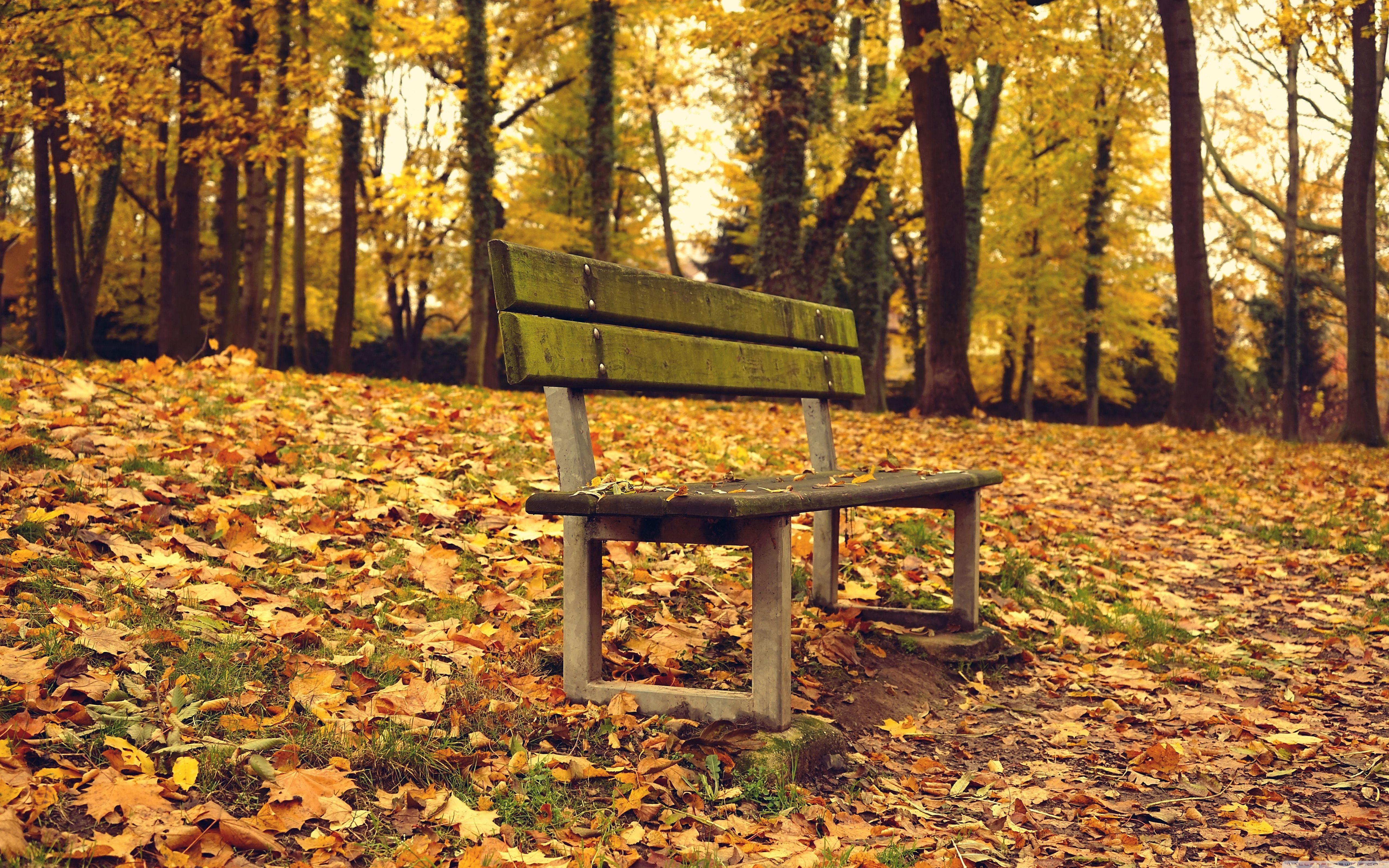 Alone Chair Wallpapers - Wallpaper Cave