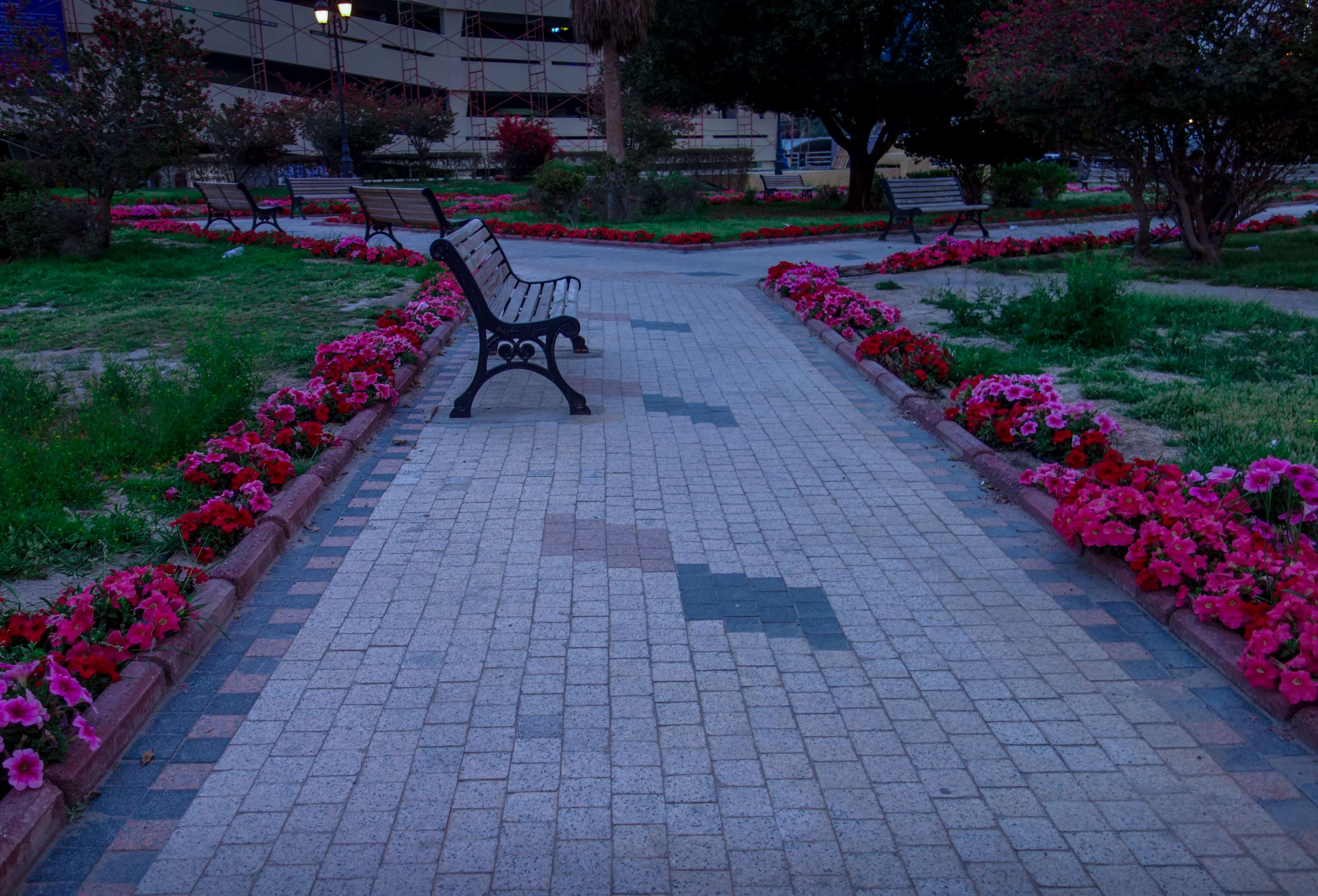 abandoned, afternoon, alone, beach chair, beautiful flowers, chair