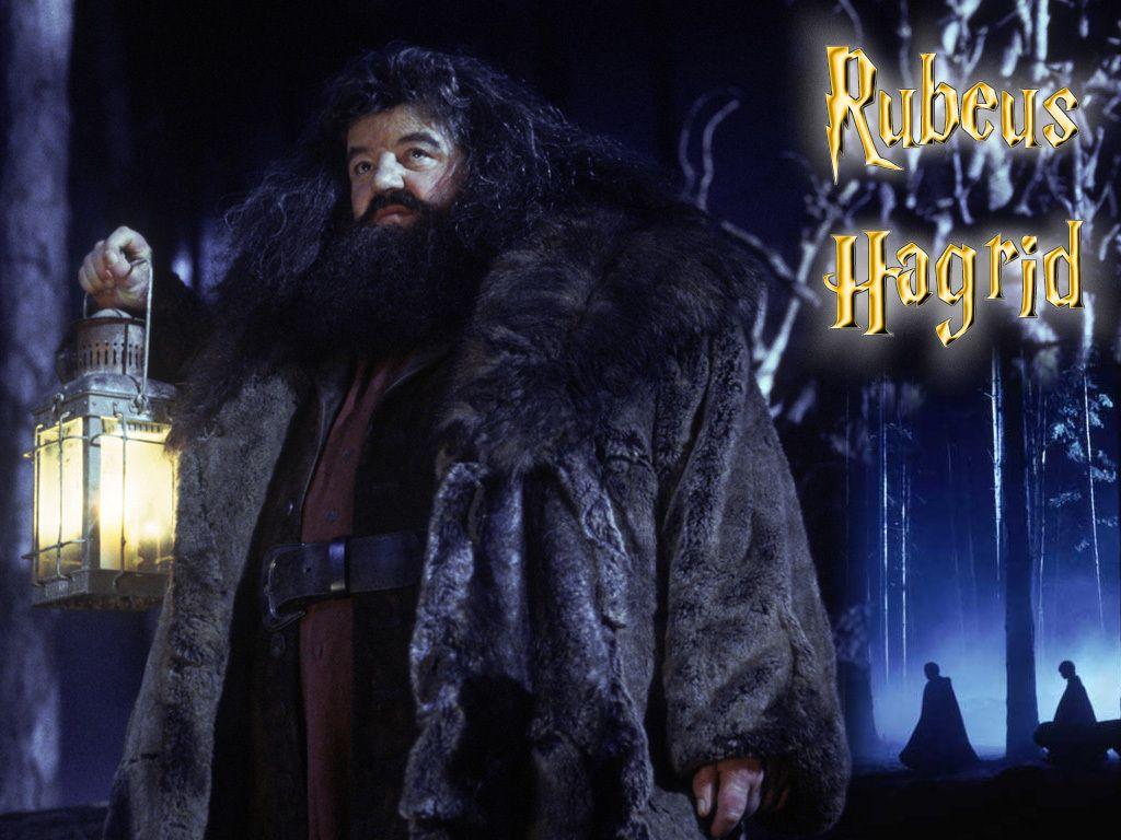 hd ps1 hagrid