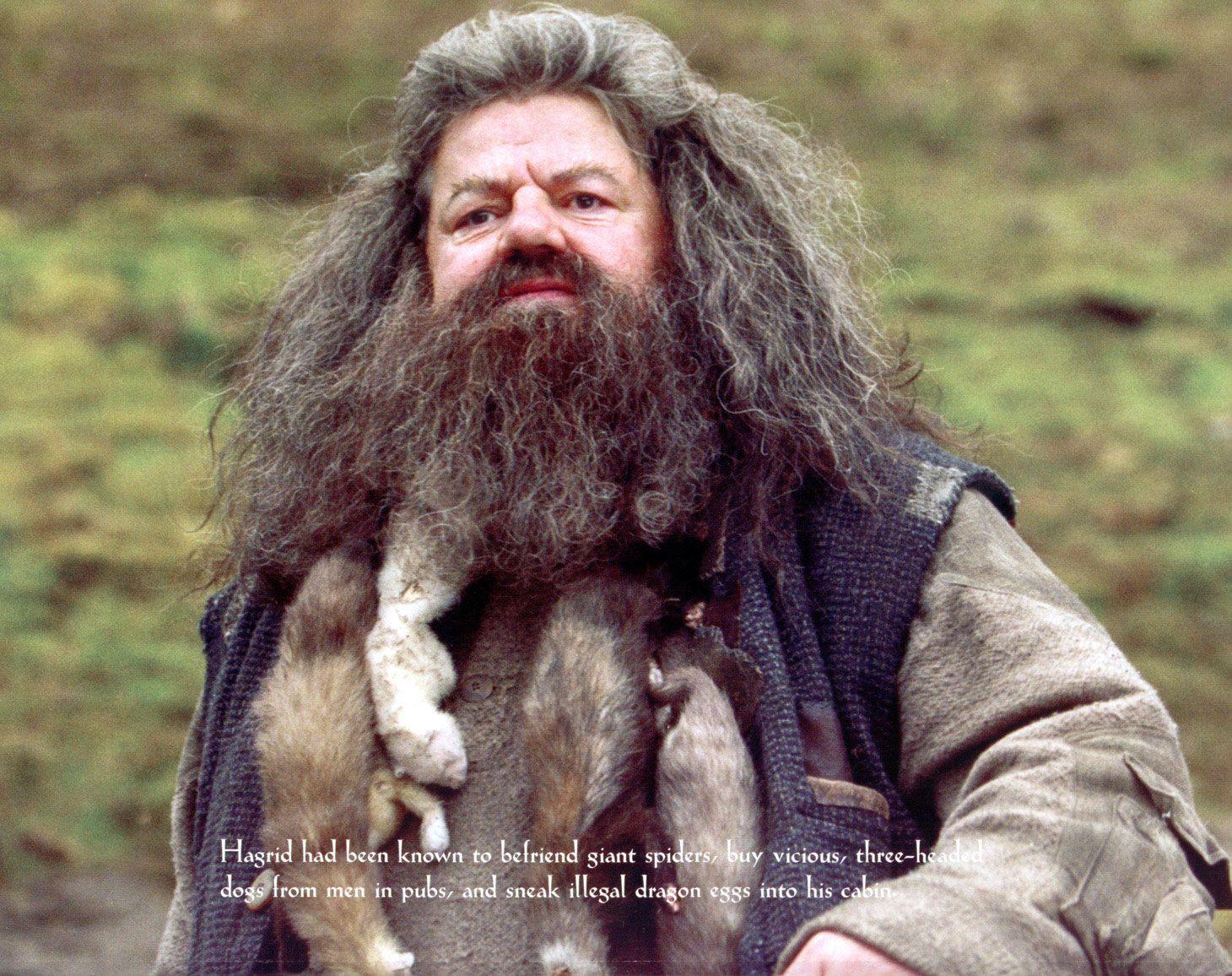 Rubeus Hagrid HD Wallpaper and Background Image
