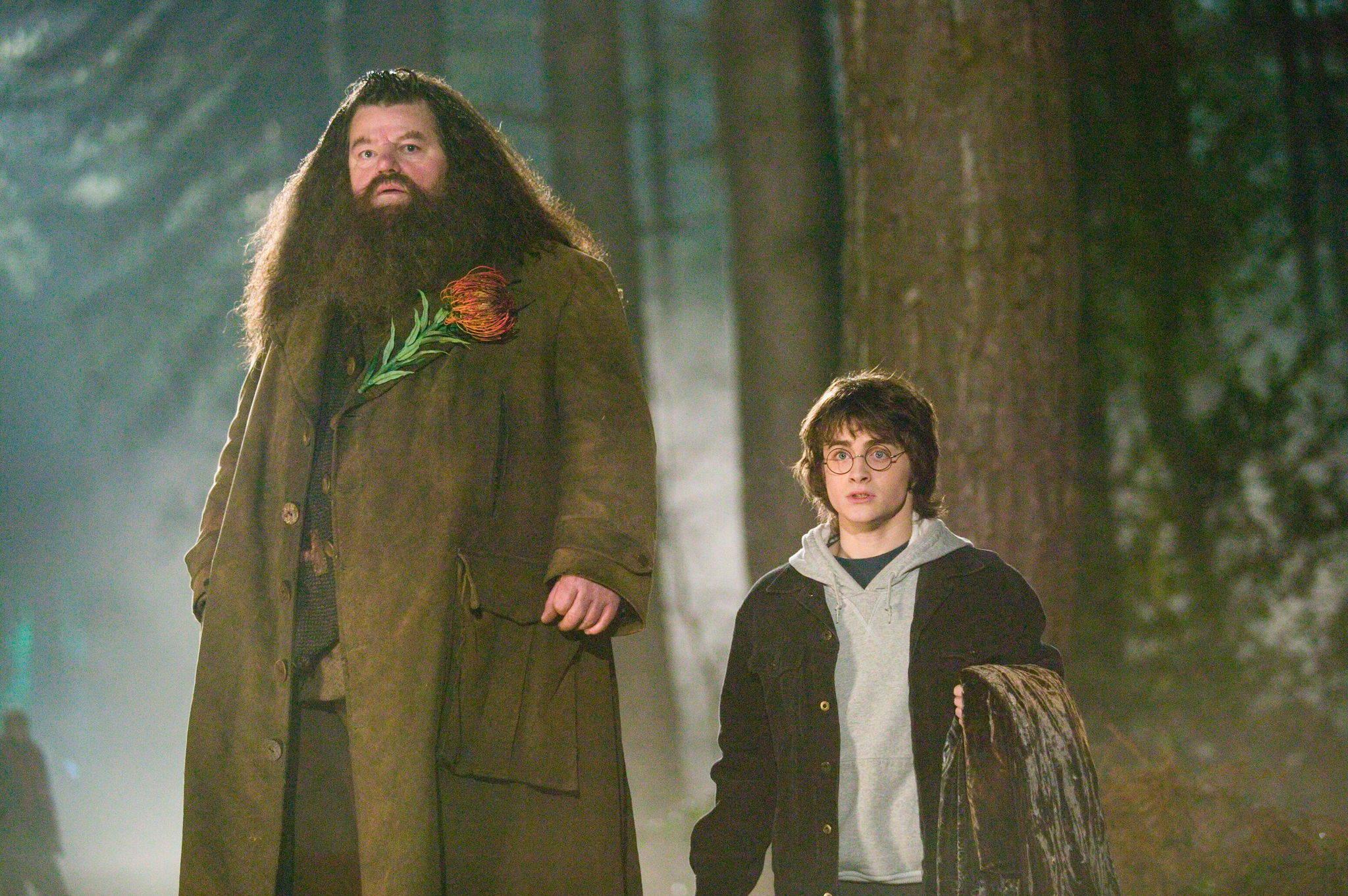 hagrid rubeus harry potter