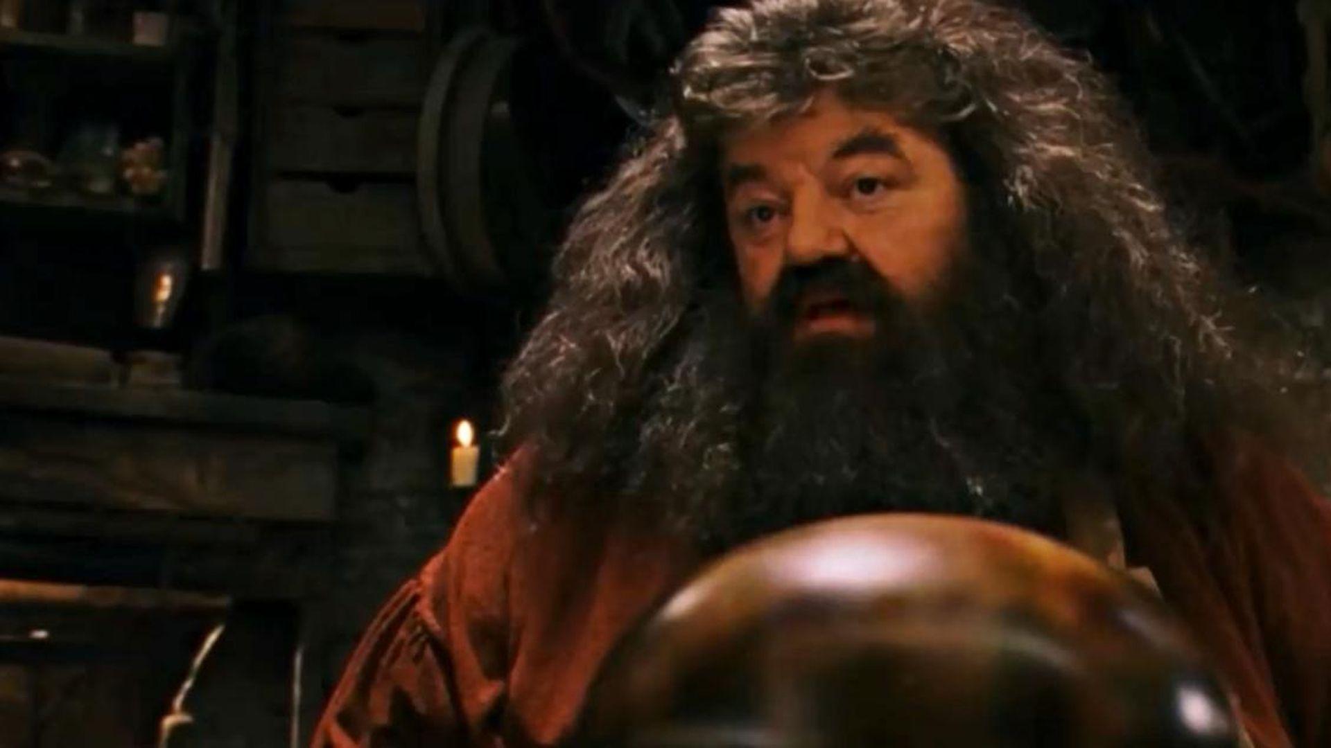 rubeus hagrid in harry potter