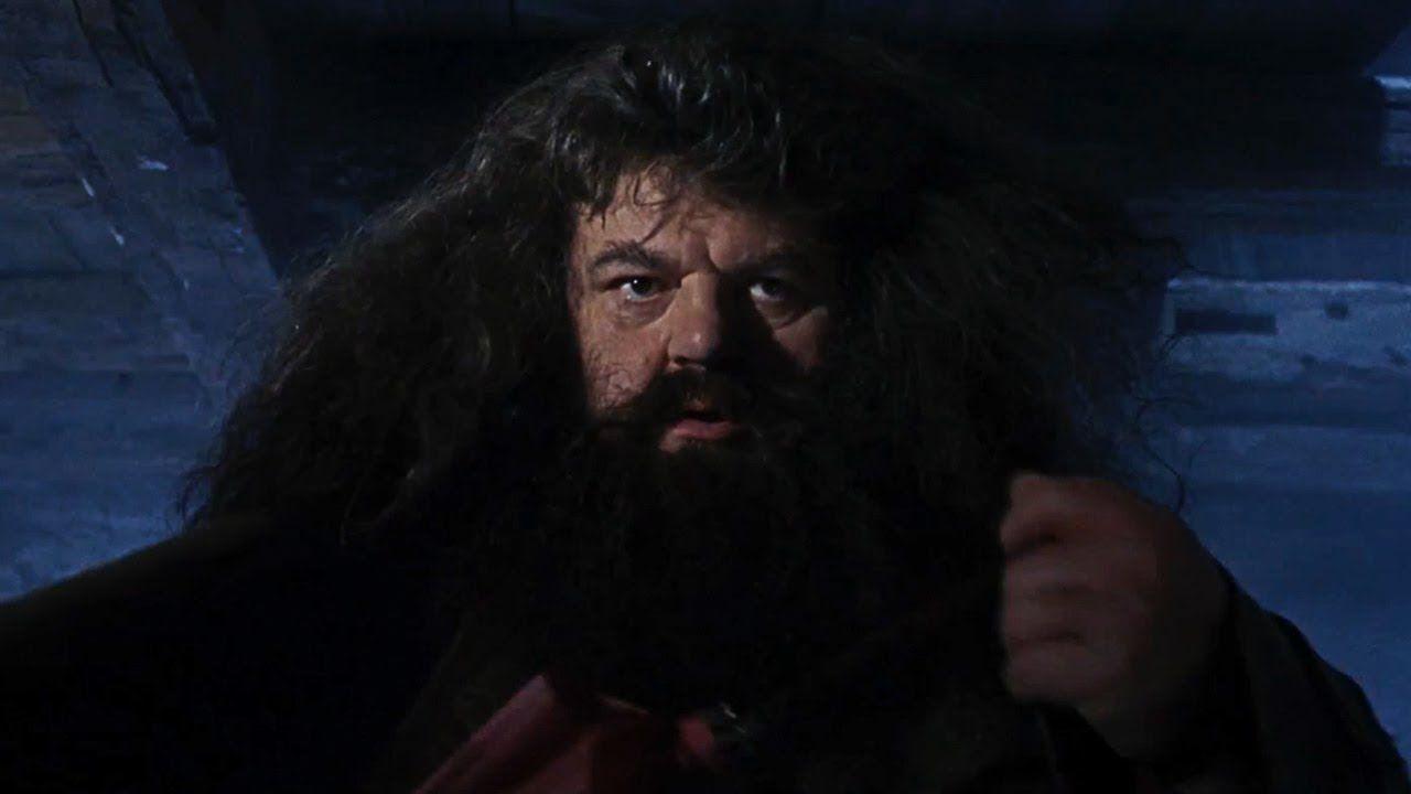 hd ps1 hagrid hd ps1 hagrid