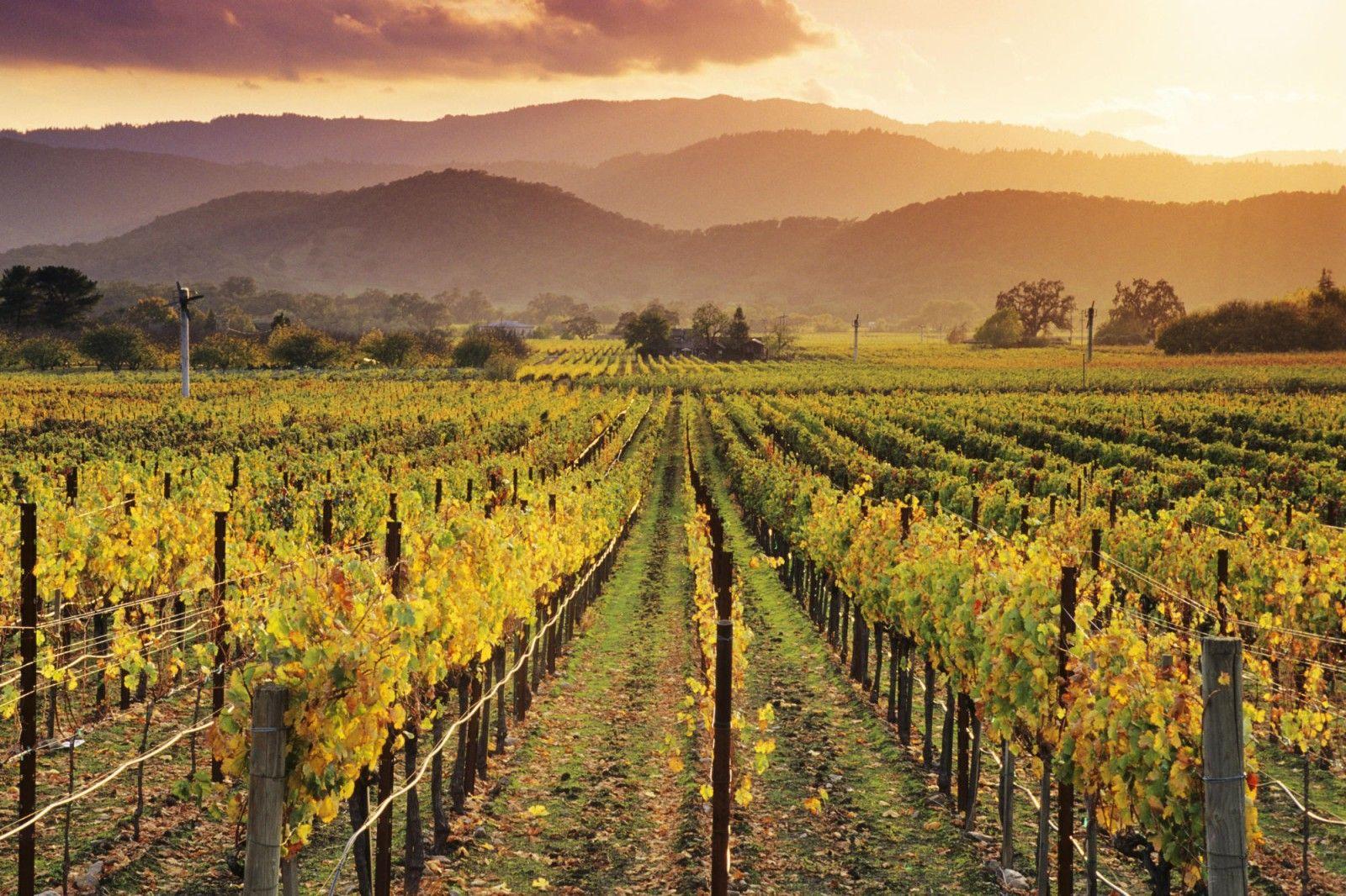 Napa Valley, California. Most Beautiful Places in the World