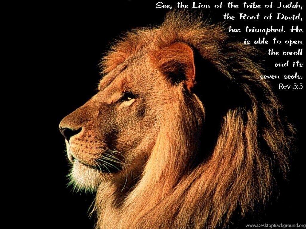 Picture Of Lion Of Judah Wallpaper HD Fine Desktop Background