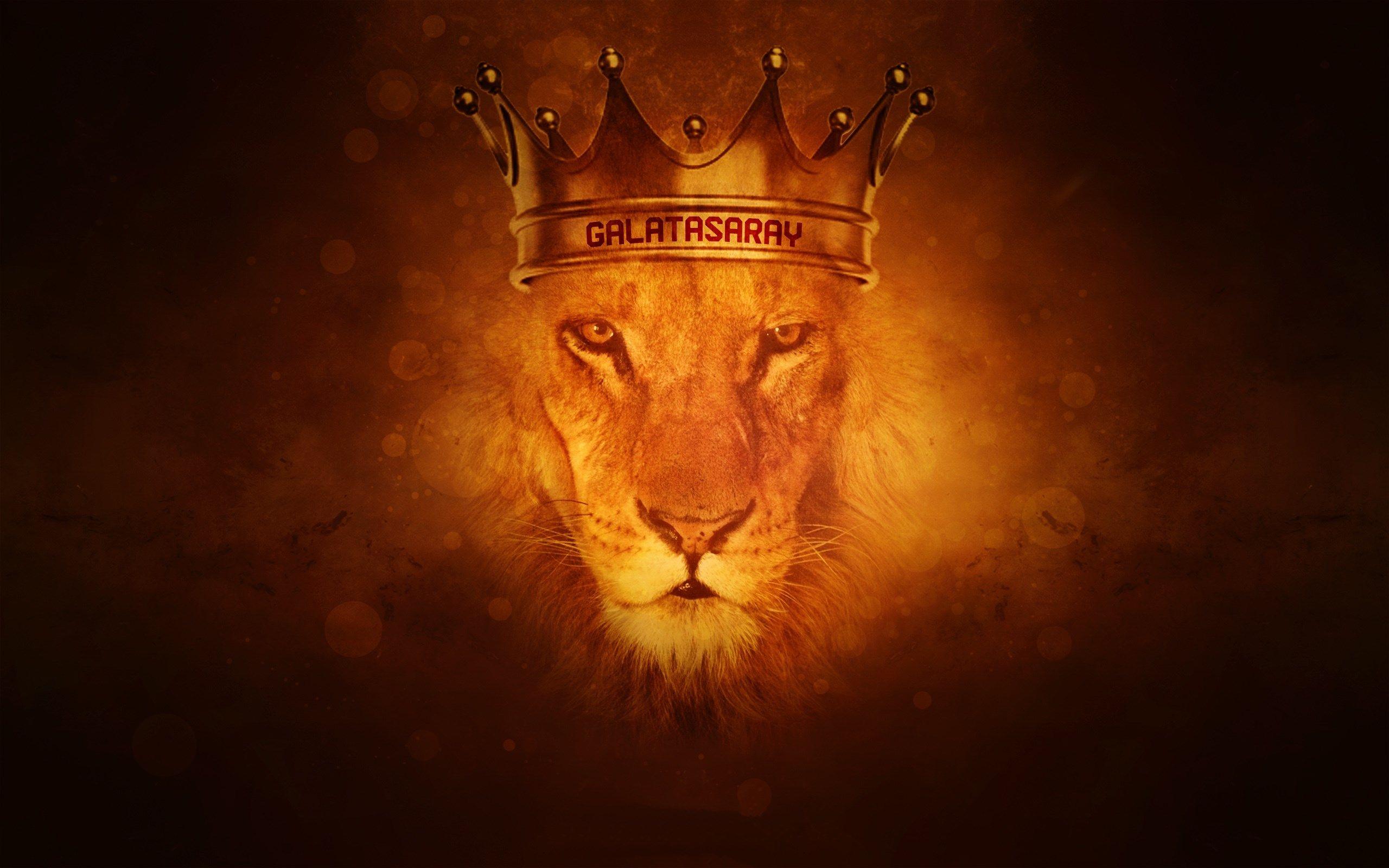 beautiful aslan narnia background. ololoshenka. Lion