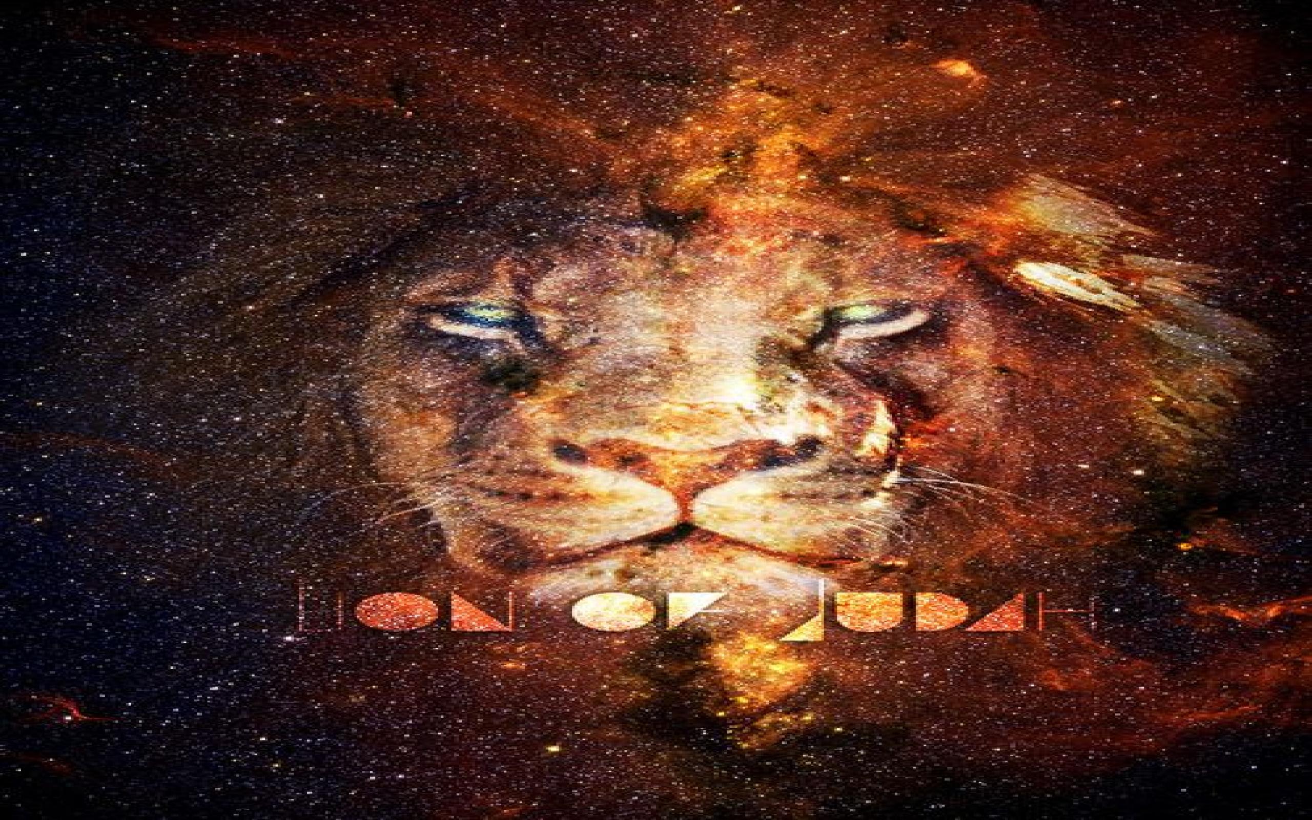 Lion Of Judah Wallpaper NCG2A3 (500x667)