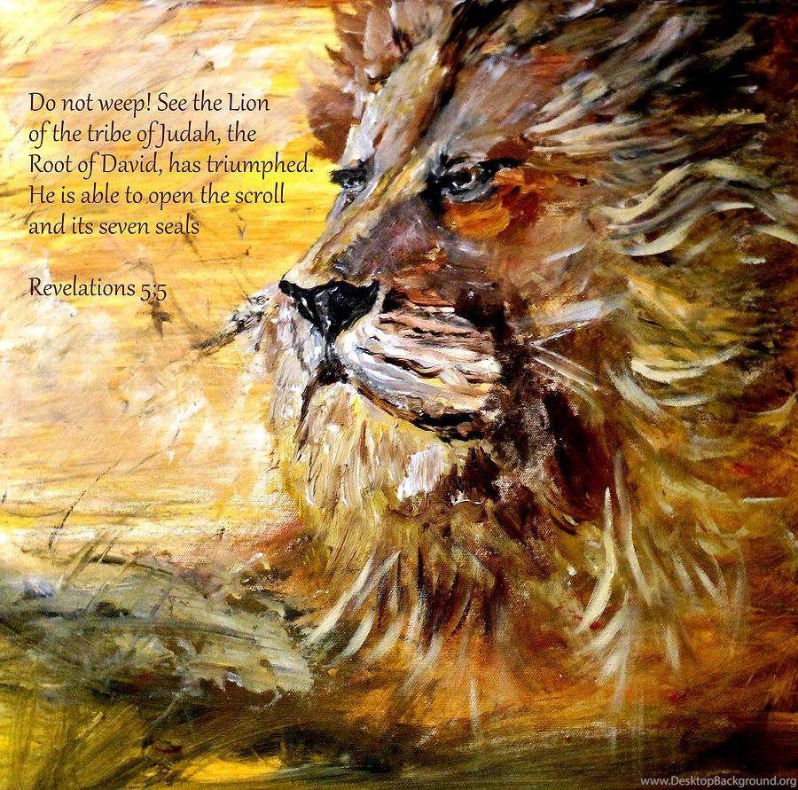 Picture Of Lion Of Judah Wallpaper HD Fine Desktop Background