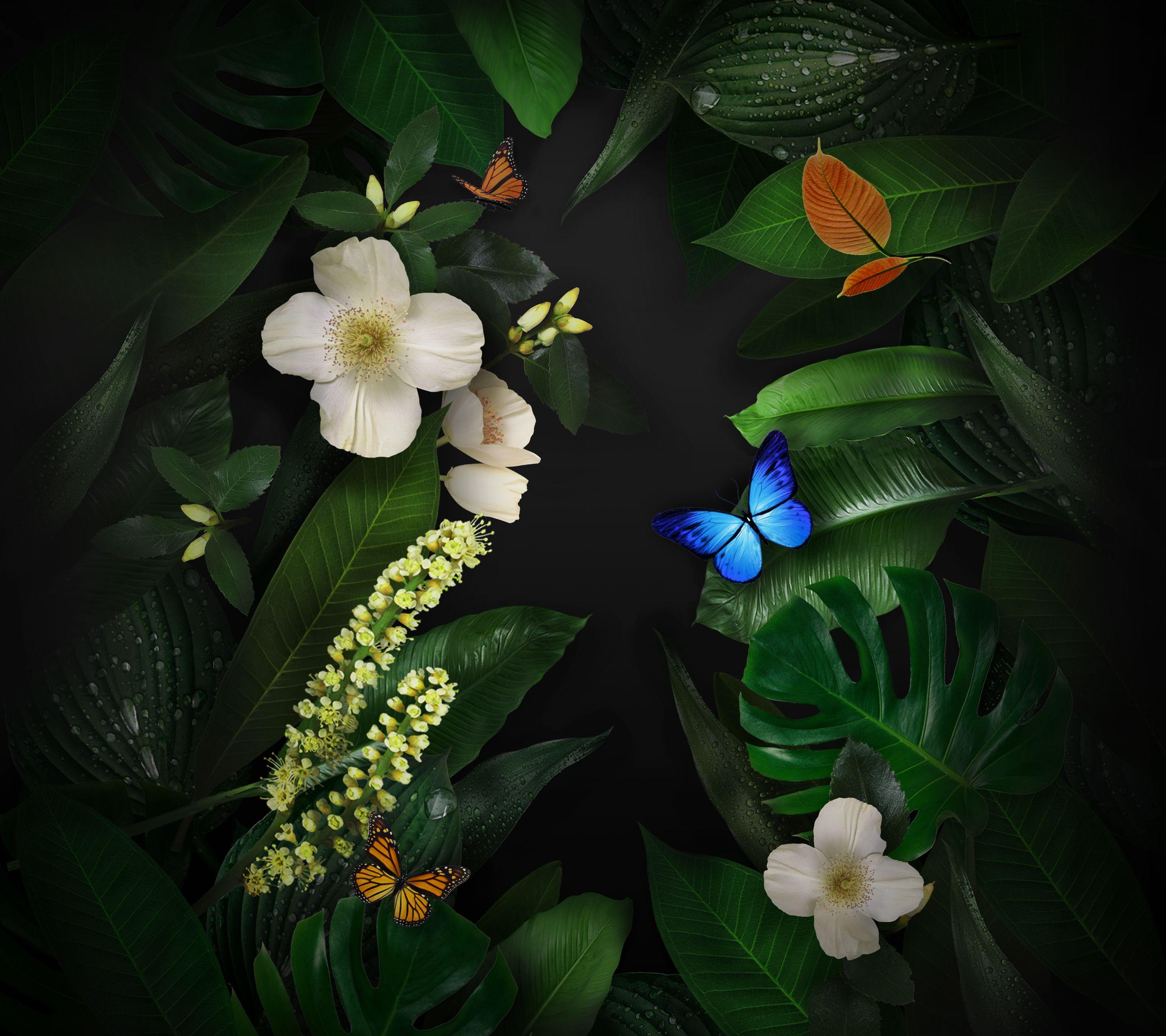 Wallpaper Butterflies, Flowers, Leaves, Huawei Mate Stock, HD