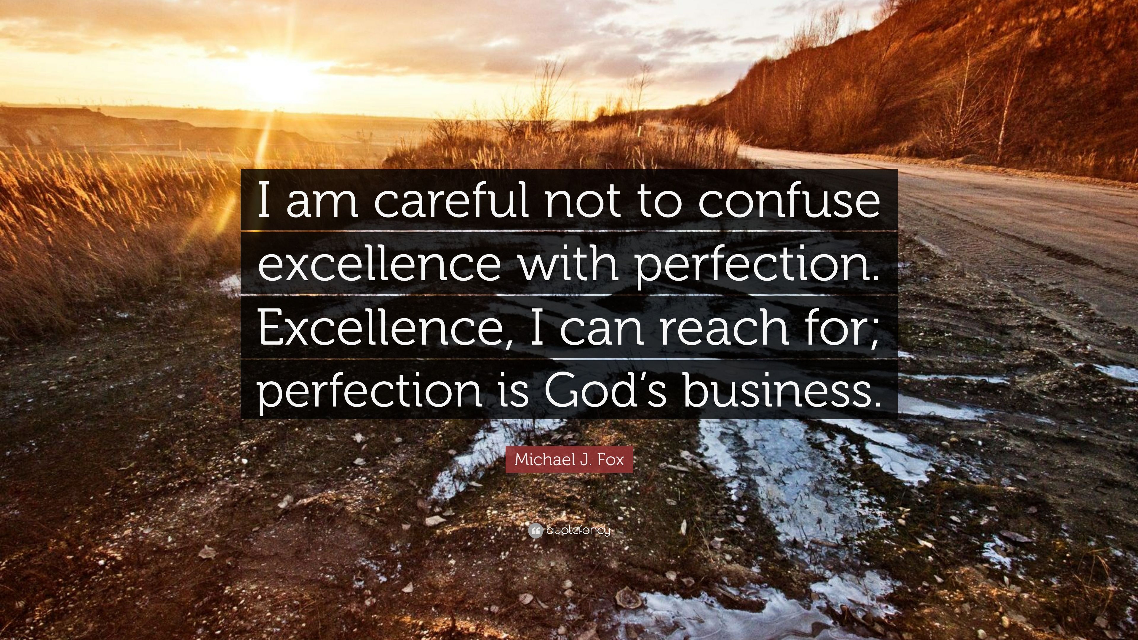 Michael J. Fox Quote: “I am careful not to confuse excellence