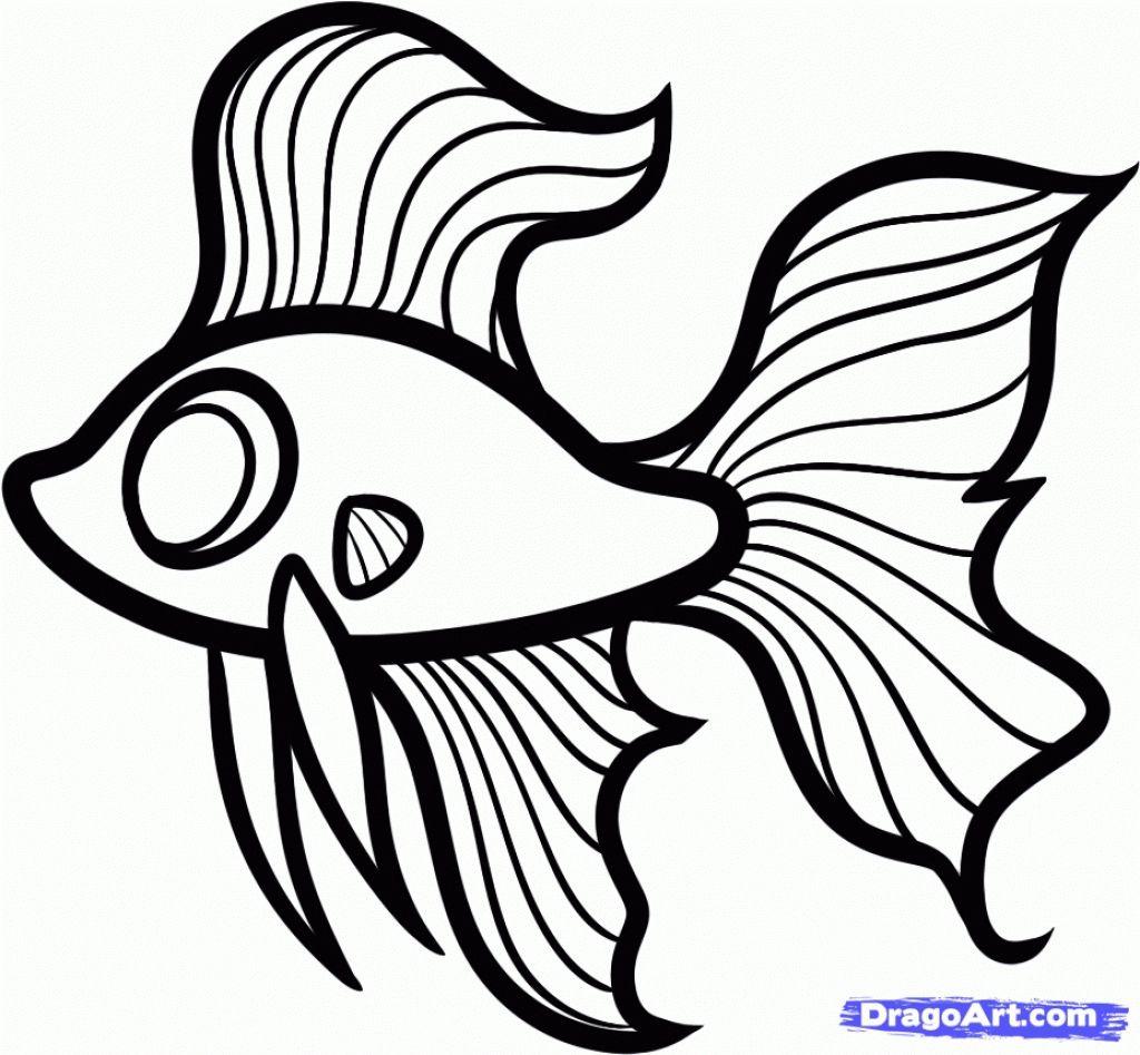 Surging Fish Picture Drawings Wallpaper 4 U Free Download Cute