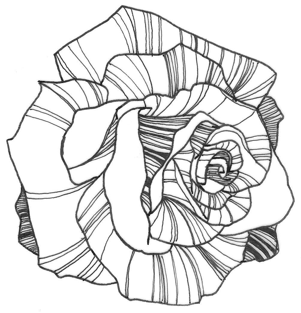 Flower Drawing 4