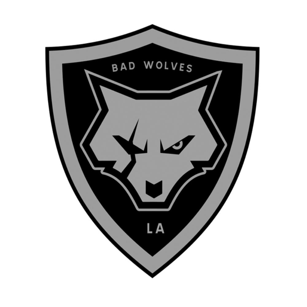Shield Embroidered Patch. Accessories. Bad Wolves Store