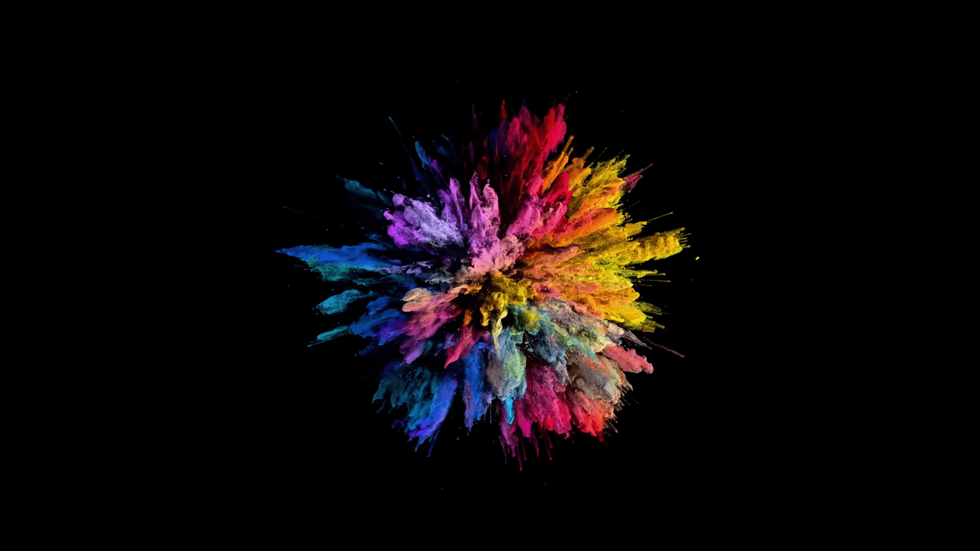 Cg animation of color powder explosion on black background. Slow