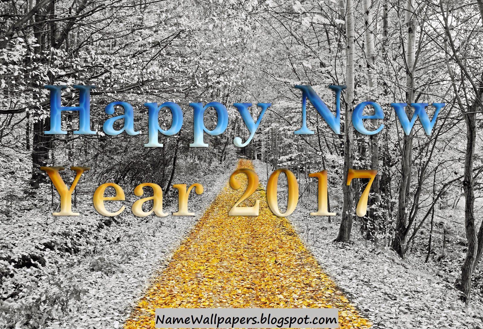 Happy New Year 2017 HD Wallpaper