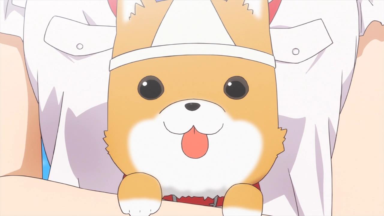 25 Best Anime Dogs Mans Best Friend in Anime Shows  Movies  FandomSpot
