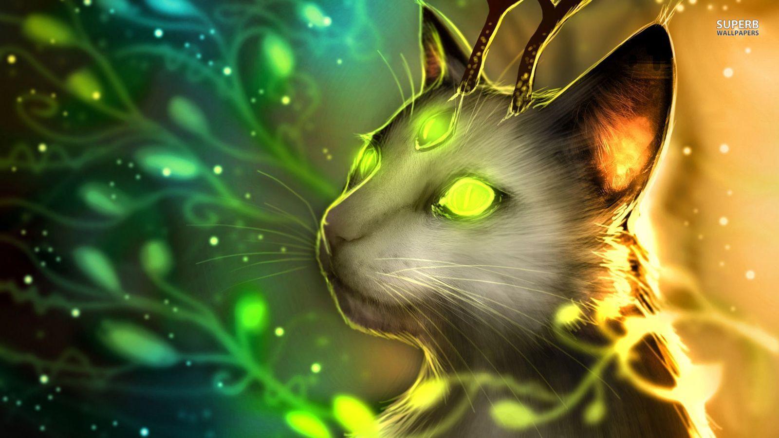 Fantasy image Magical Cat HD wallpaper and background photo