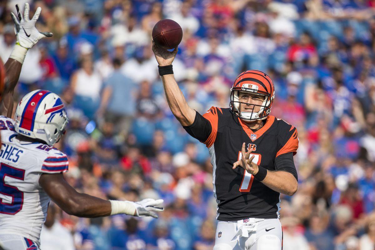 Jeff Driskel “is the guy” for Bengals' QB2 job as Matt Barkley