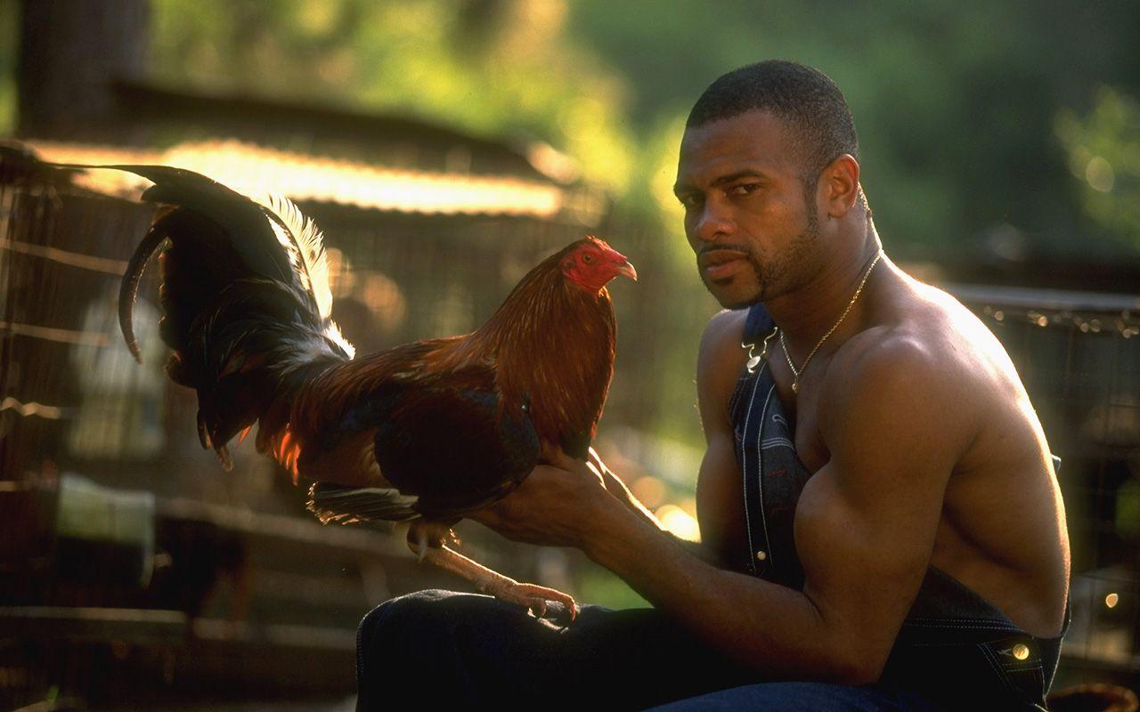 Roy Jones Jr. was raised under the rules of cockfighting