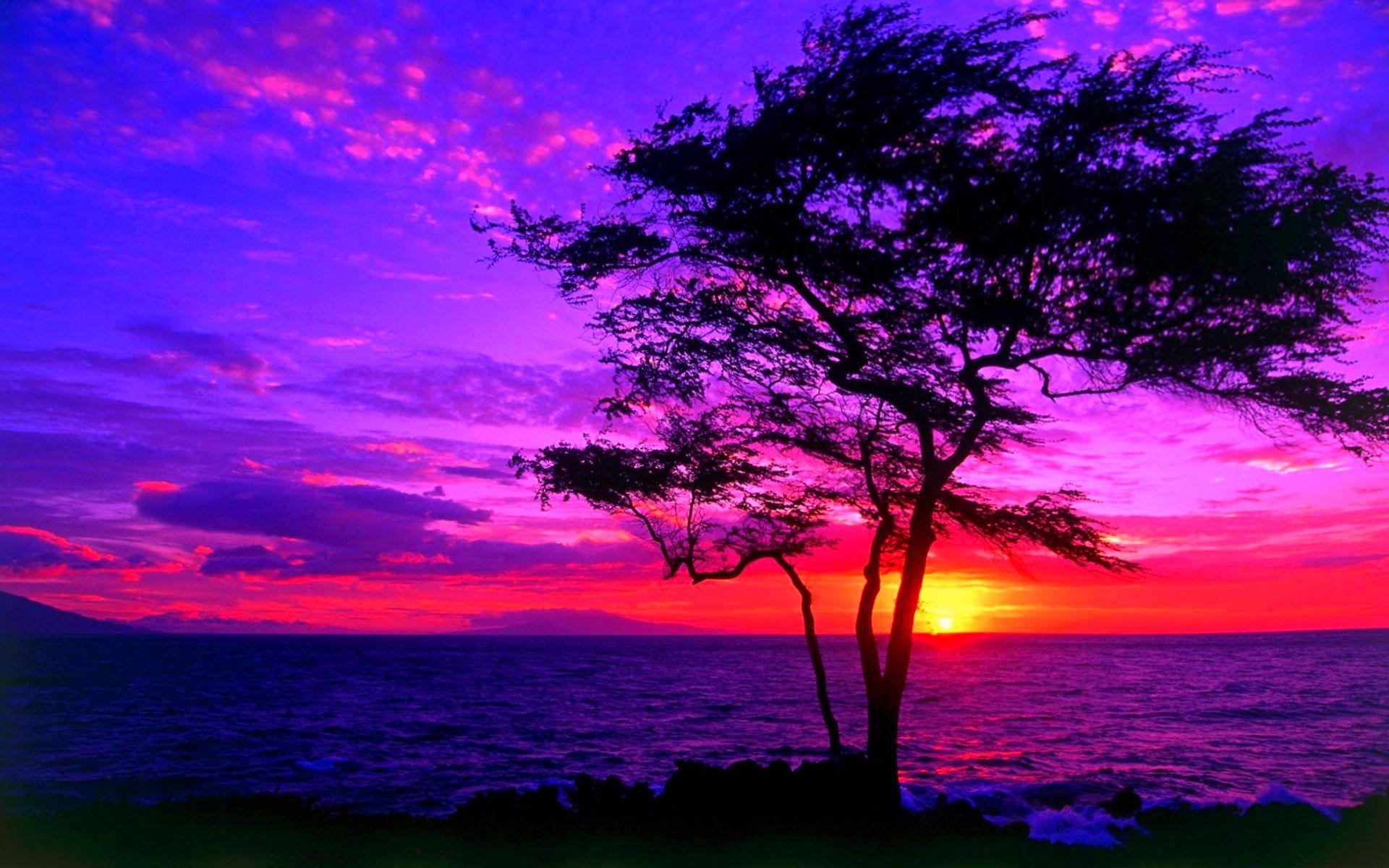 Sunset HD Wallpaper