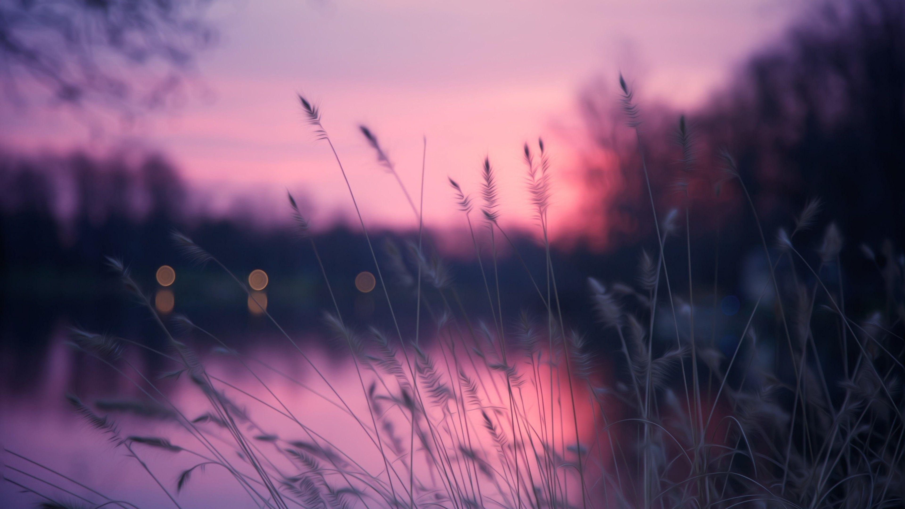Wallpaper Lake, 4k, HD wallpaper, grass, sunset, purple, Nature