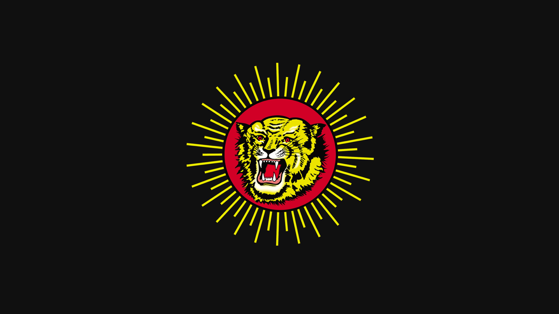 Tiger Logo Wallpaper Tigers Wallpaper, 1317 Tiger HD