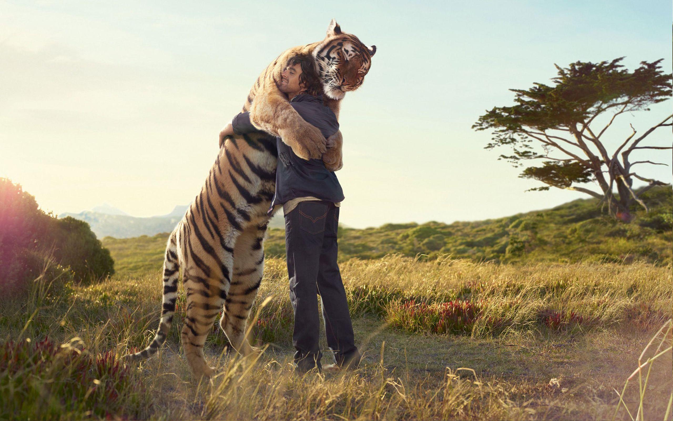 Tiger hug kevin richardson wallpaperx1600