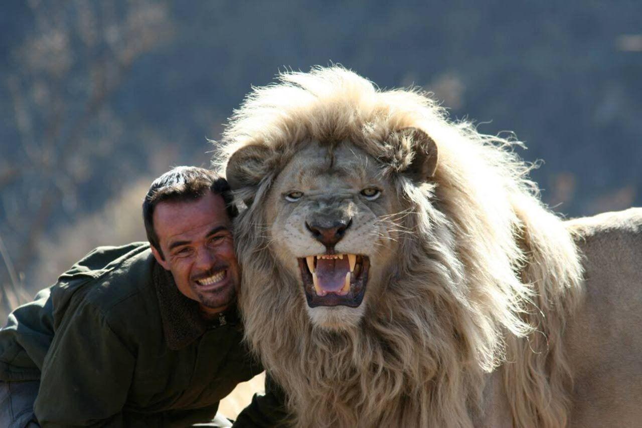 Kevin Richardson, The Man Who Bonds With Lions [Pics]