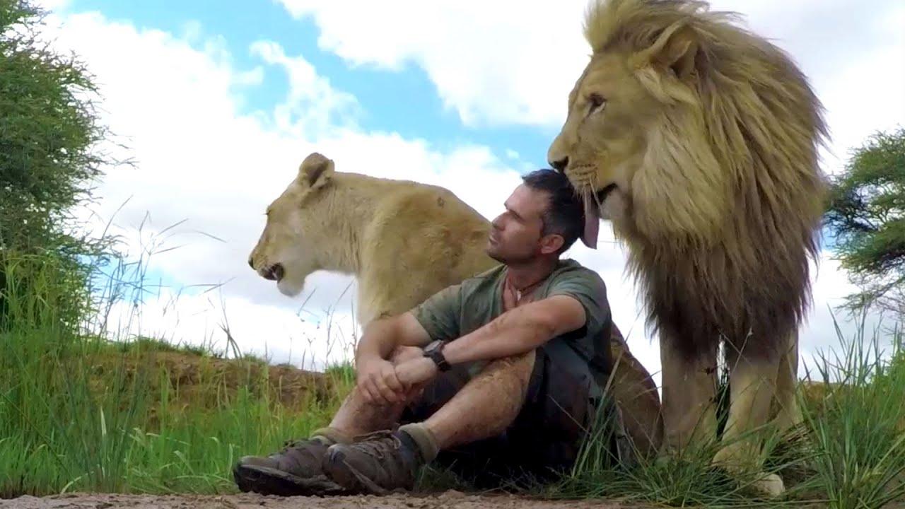 You'll Never Guess What Just Happened. The Lion Whisperer