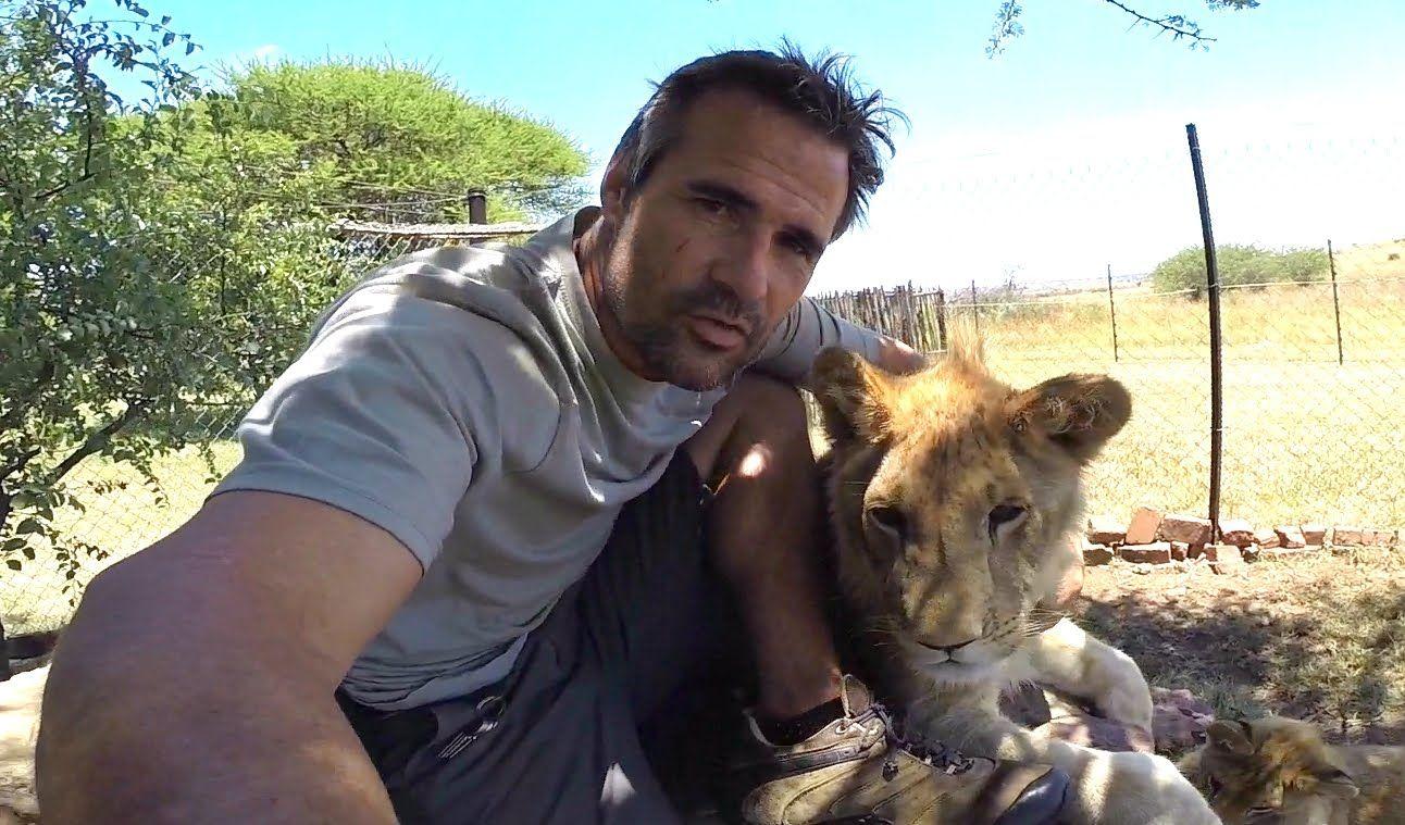 Lion Whisperer: How Kevin Richardson Spends His Time. leones