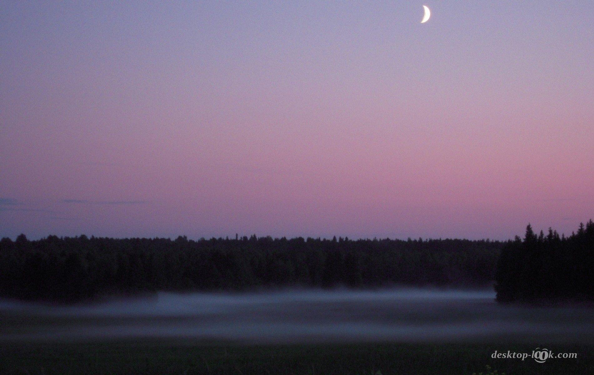 Thick Wallpapers Wallpaper Cave