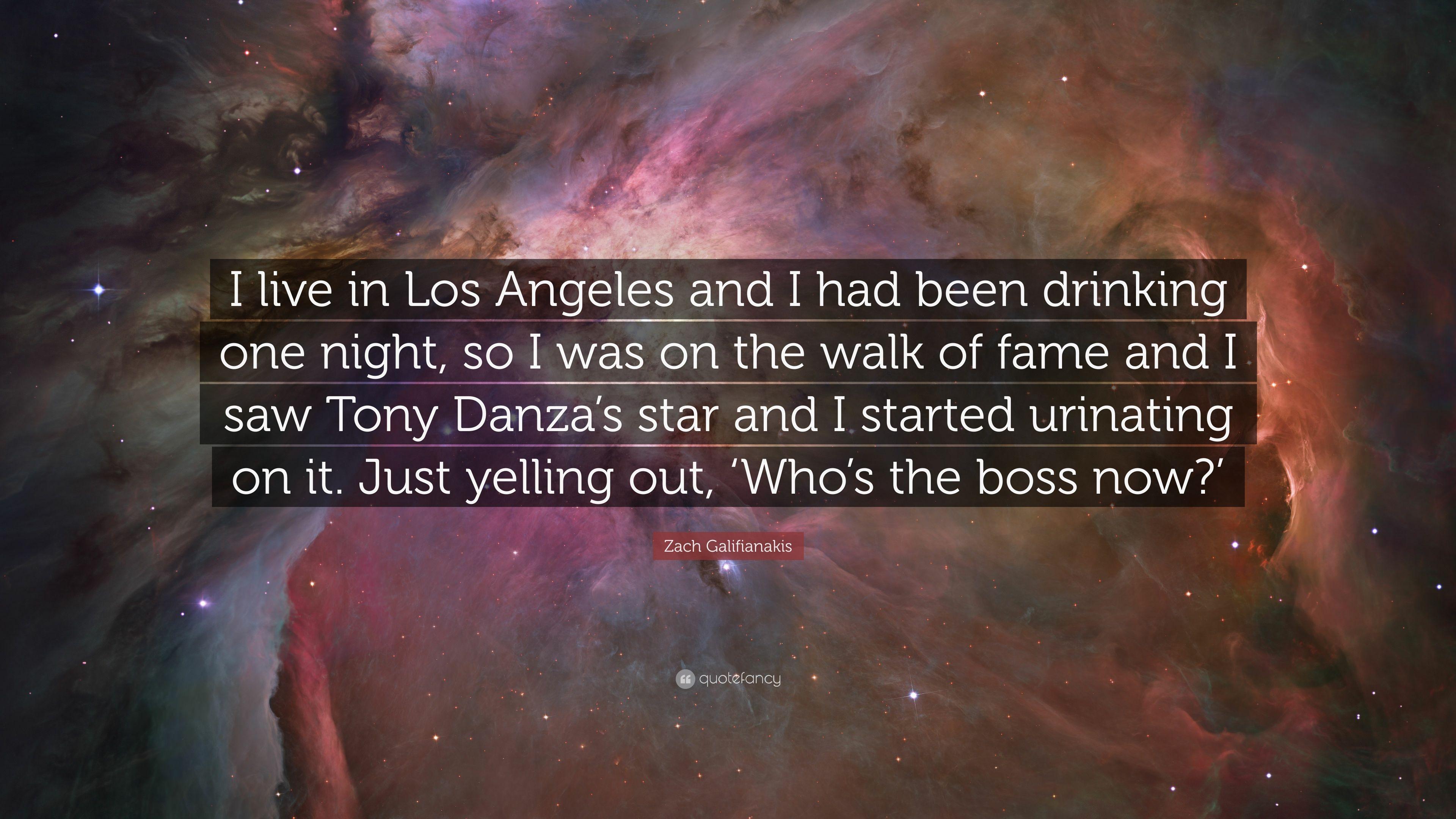 Zach Galifianakis Quote: “I live in Los Angeles and I had been