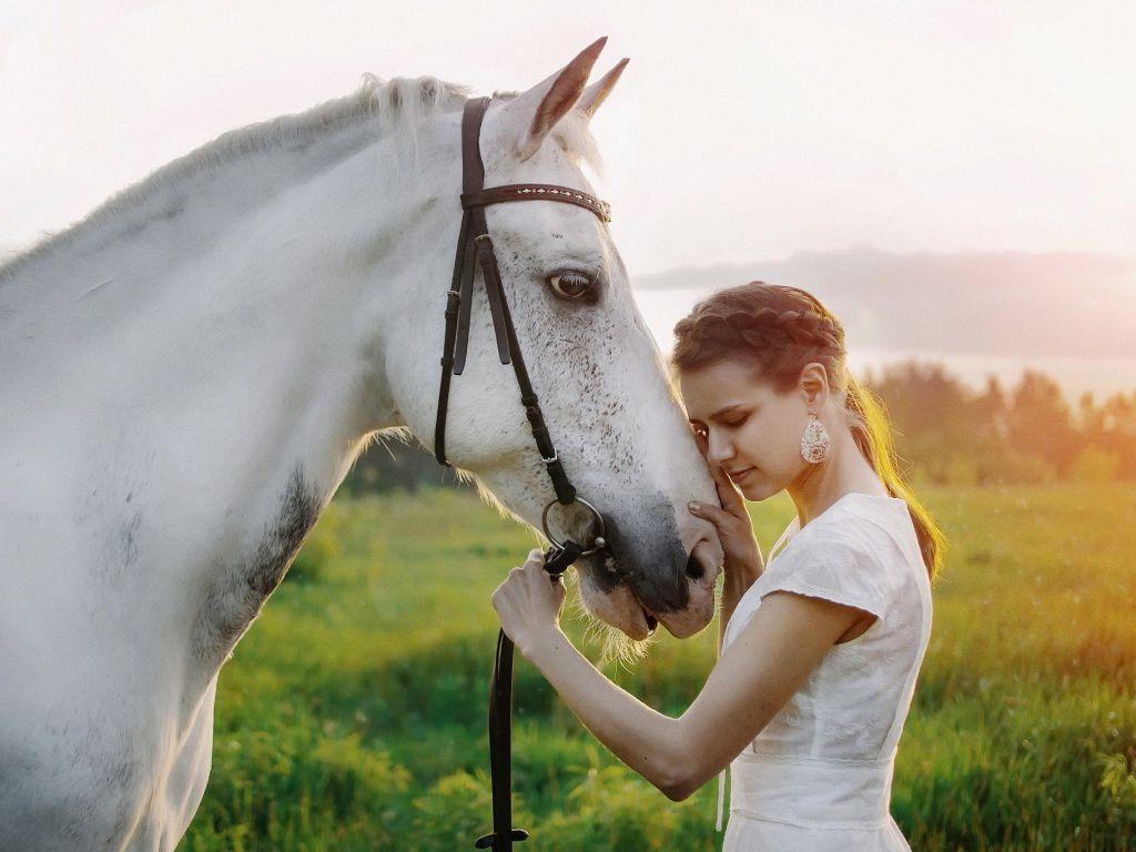 Beautiful girl with a horse in the background of a green summer