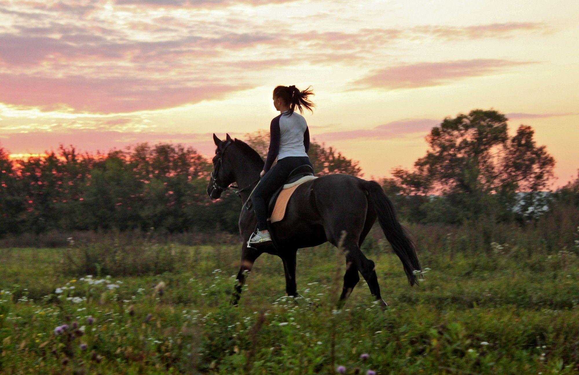 Horse riding, sunset wallpaper and image, picture