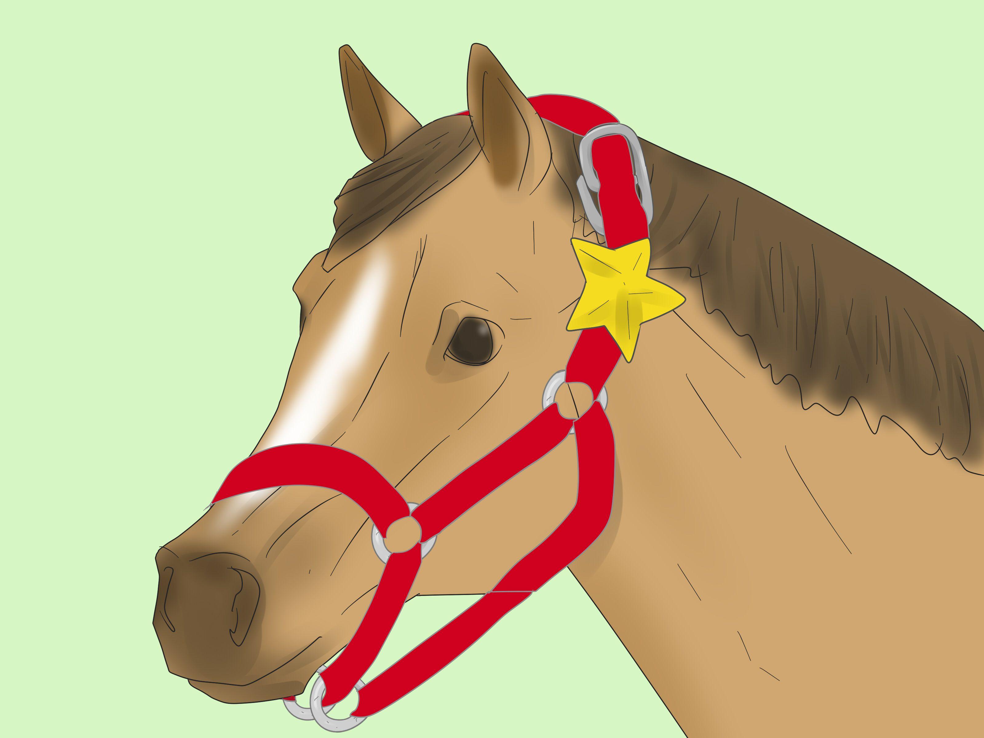 How to Make a Model Horse Headcollar: 13 Steps (with Picture)