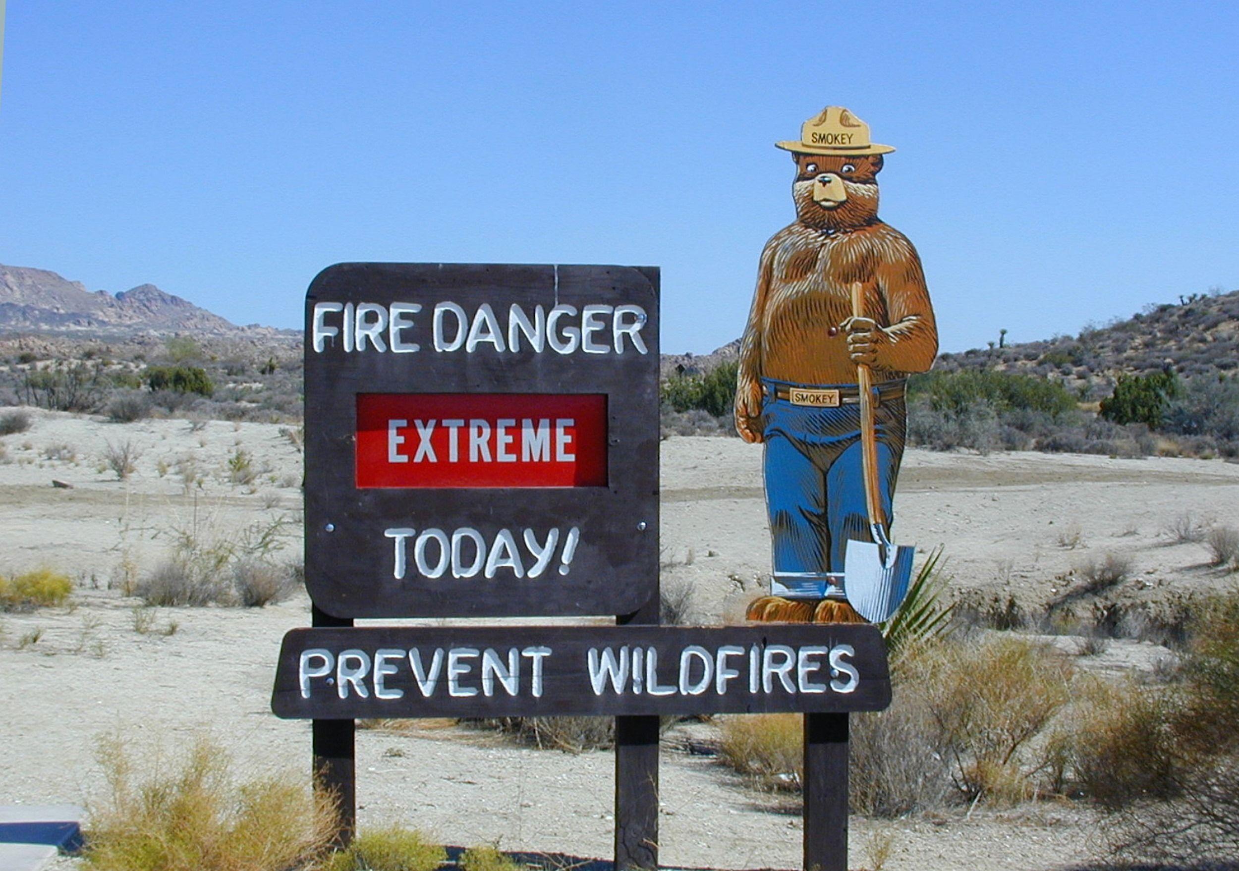 Smokey bear says warning, prevent wildfires HD Wallpaper