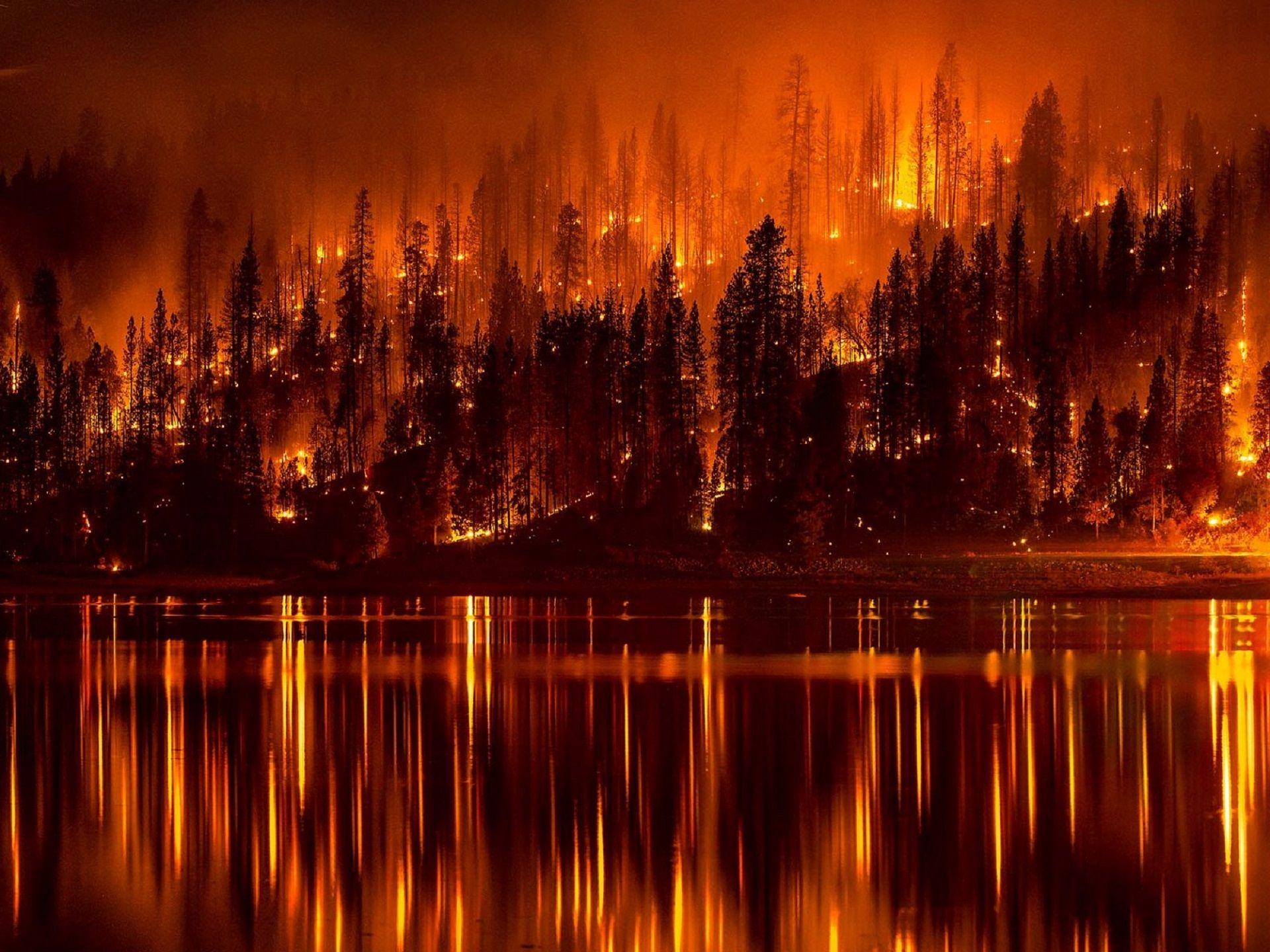 Free photo: Forest Fire, Reflection, Hot Download