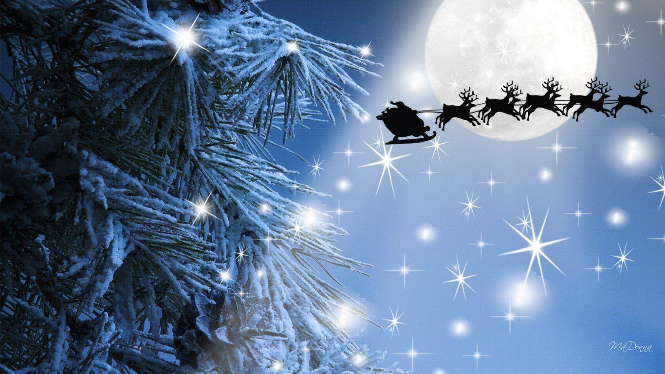 Winter: Christmas Reindeer Sky Beam Night Flight Santas Moon Tree