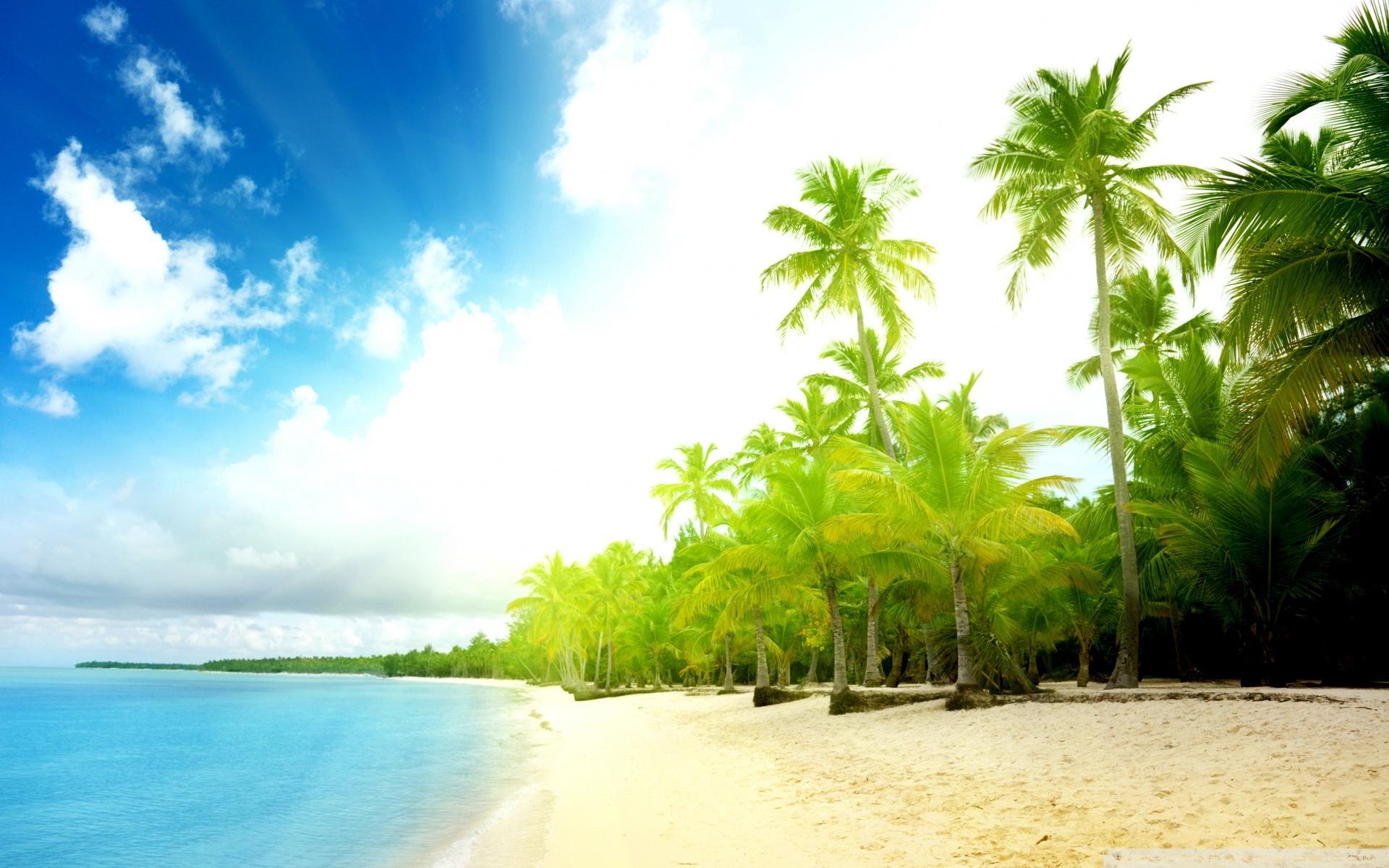Palm Trees Beach HD desktop wallpaper, High Definition
