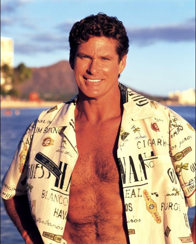 David Hasselhoff [The Hoff]. The Male Celebrity