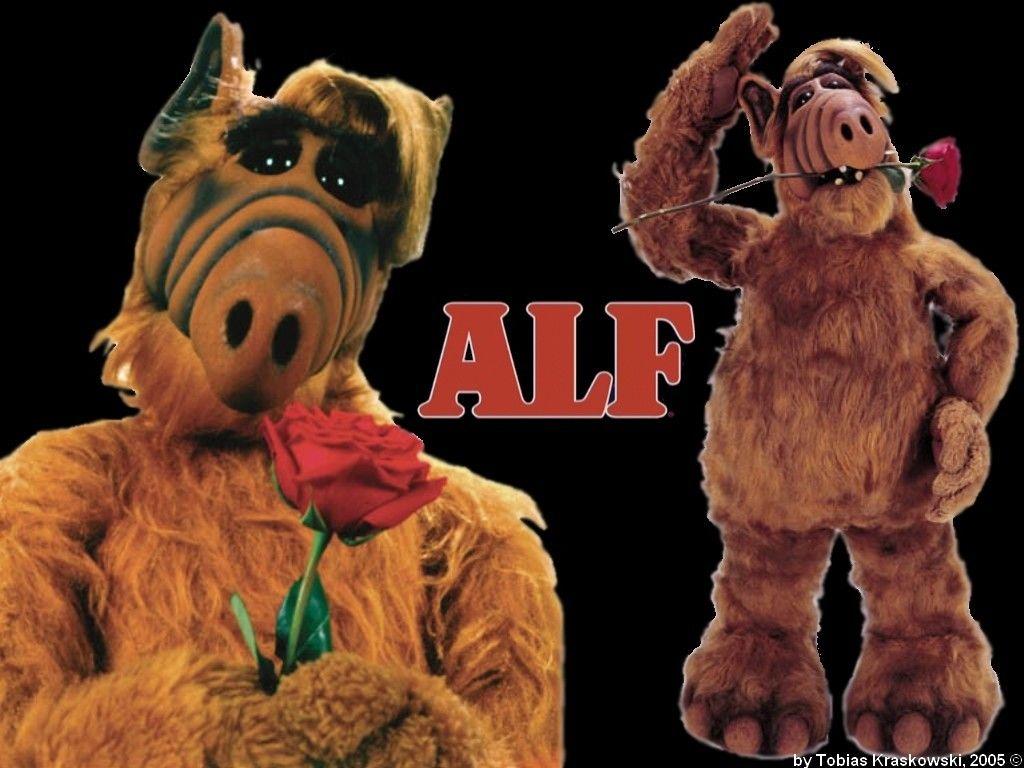 Alf image 163994492 alf wallpaper HD wallpaper and background