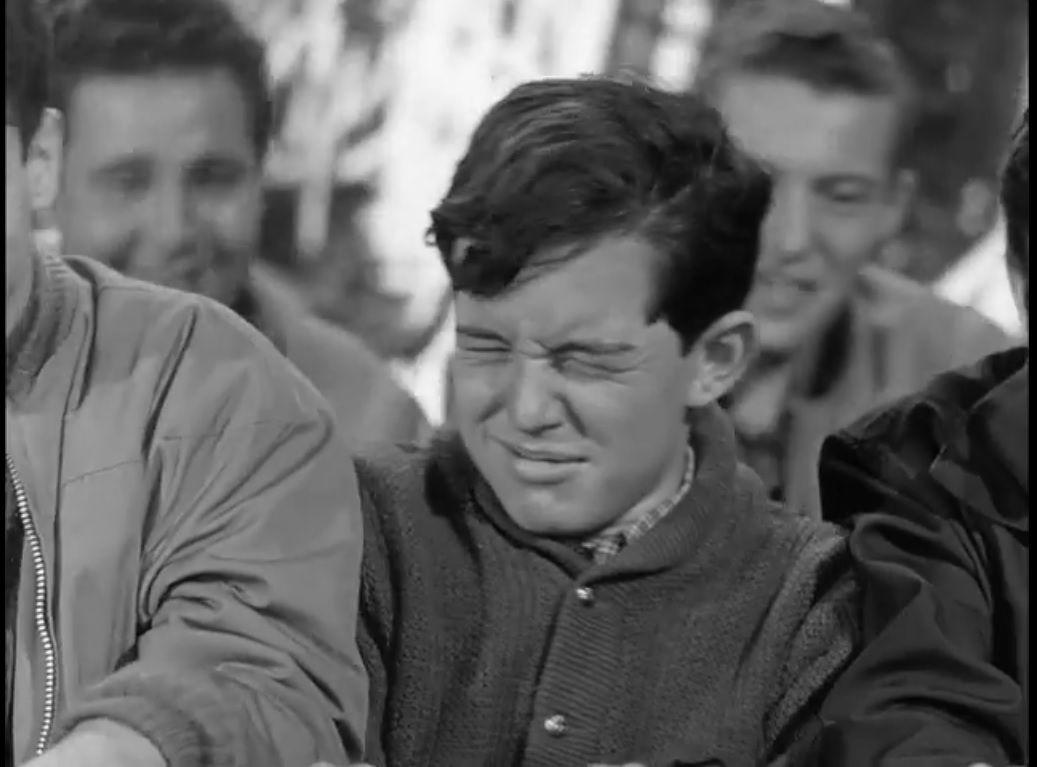 Things You Never Knew About 'Leave it to Beaver'