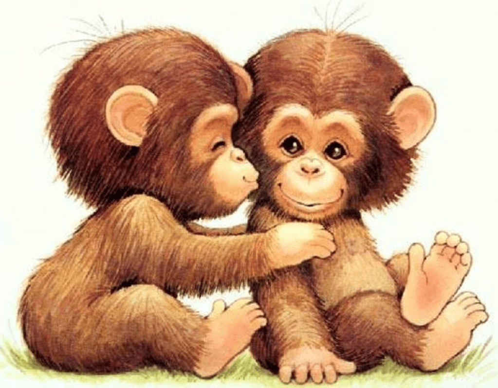 monkey pics. Cute Monkeys Image Monkeys Graphic Code